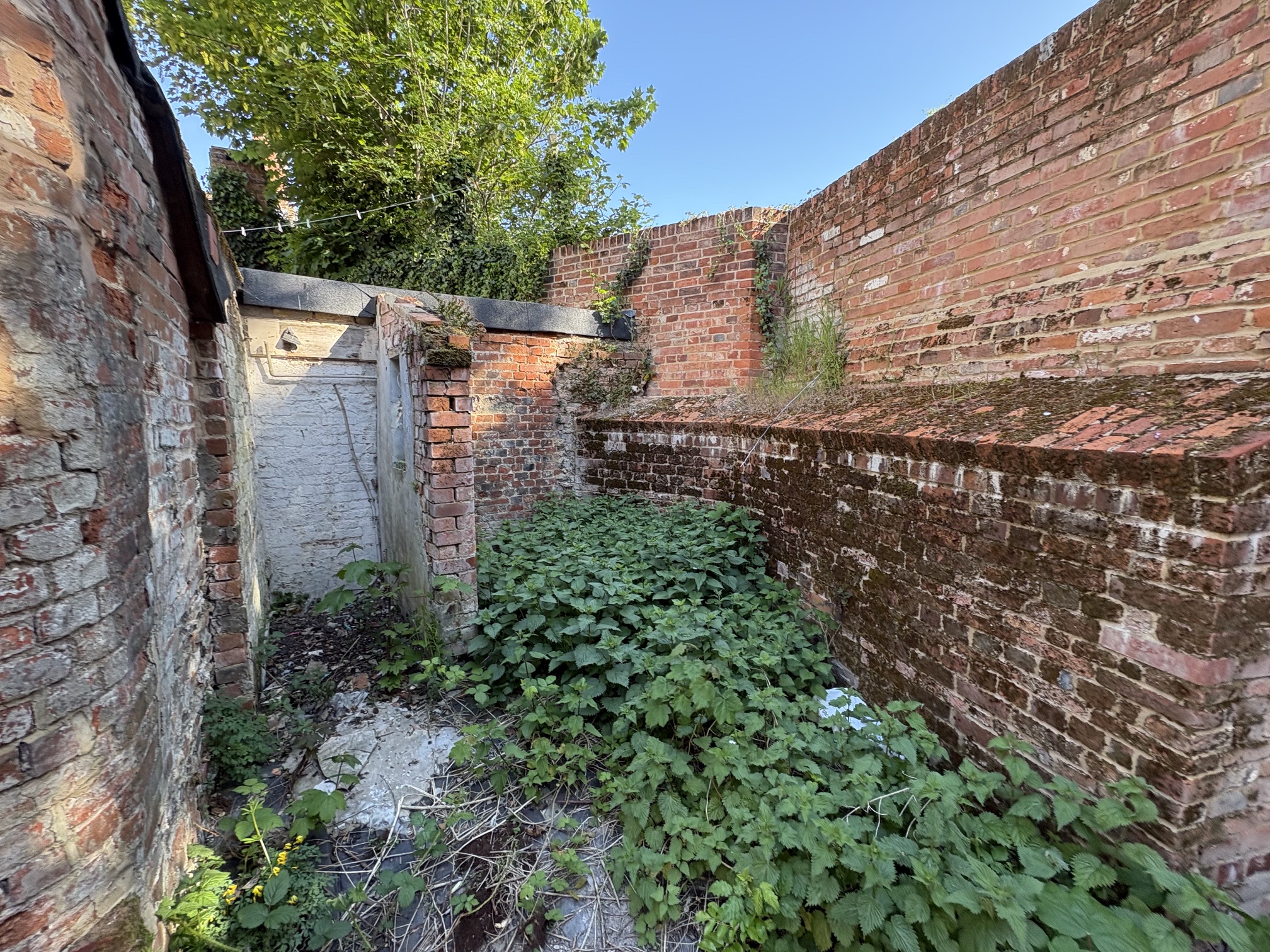 Property image #8