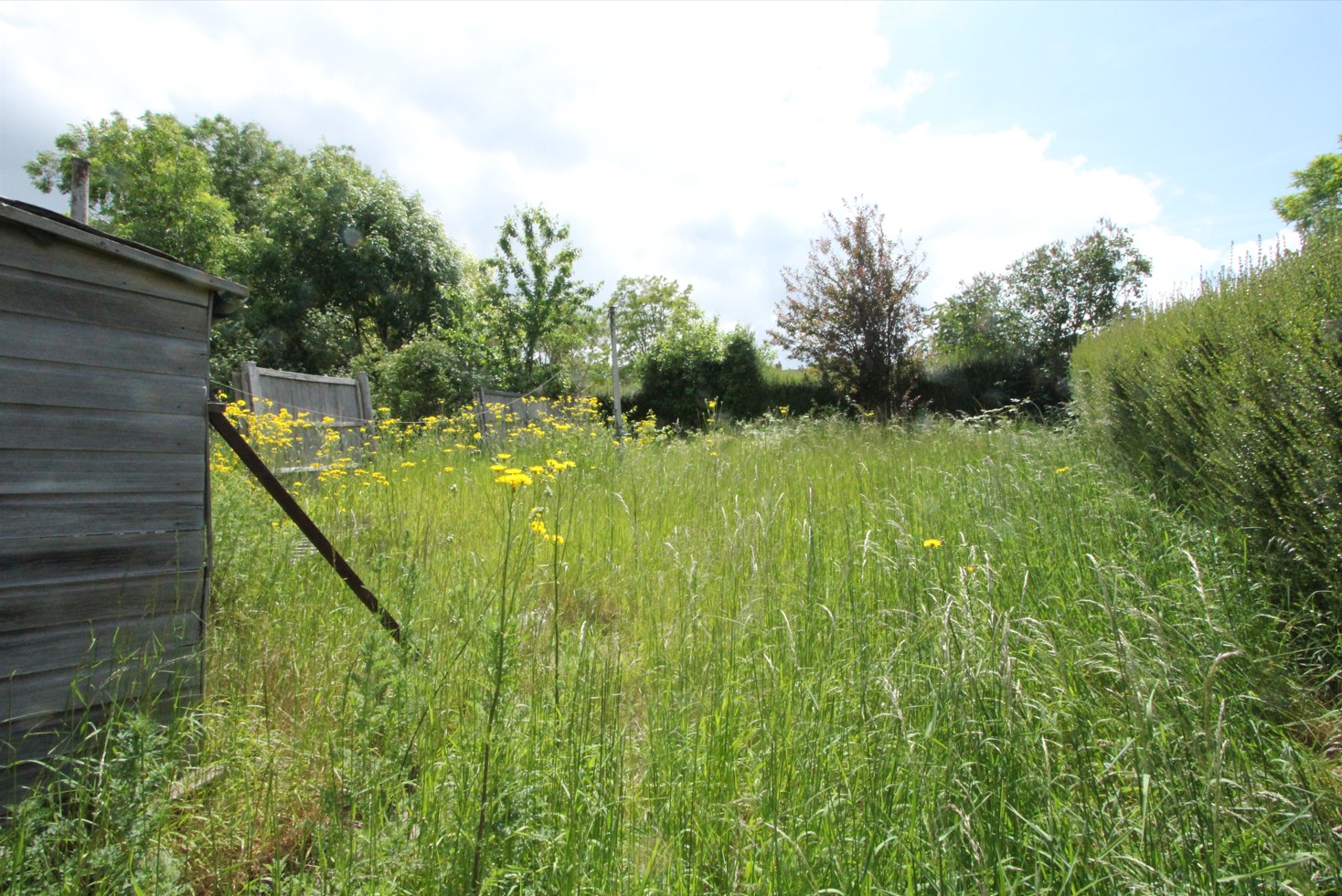 Property image #7