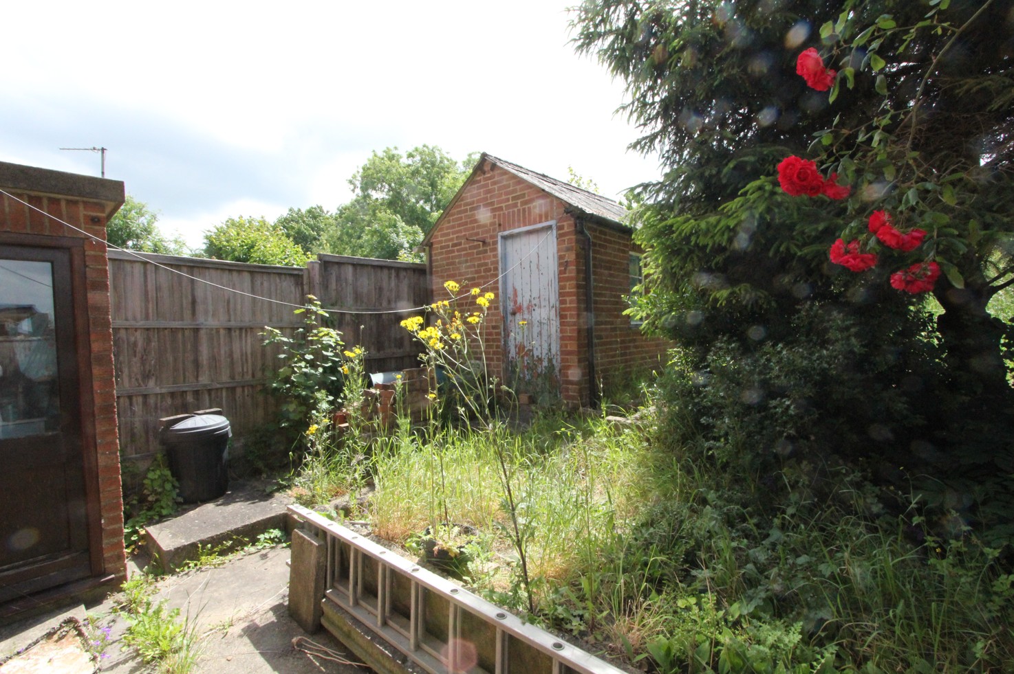 Property image #9