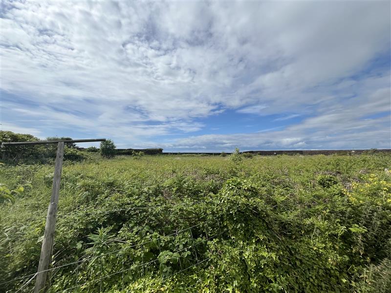 Property image #2
