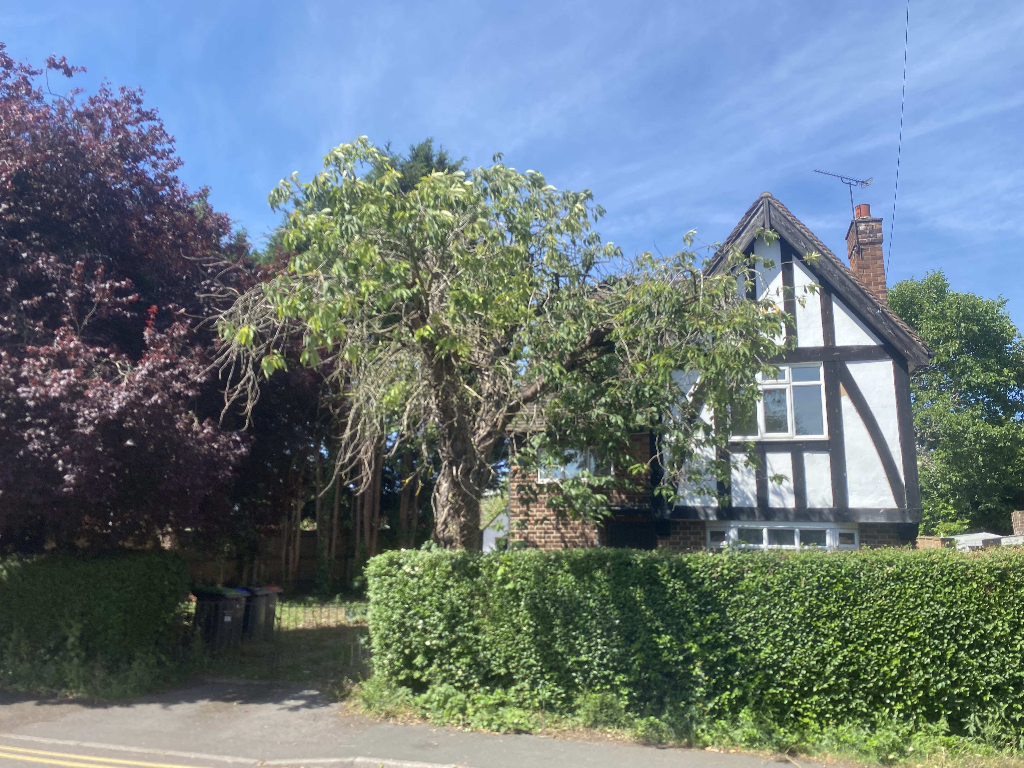 Three Bedroom Spacious Detached House