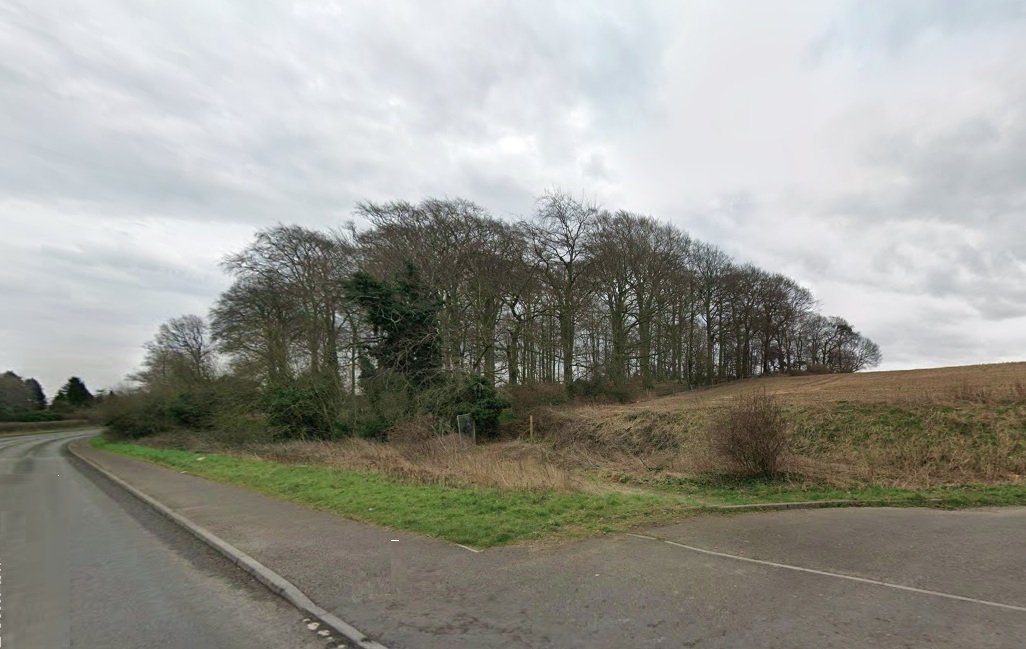 Woodland on the south side of Tickhill Road, Bawtry, Doncaster, South Yorkshire DN10 6XB
