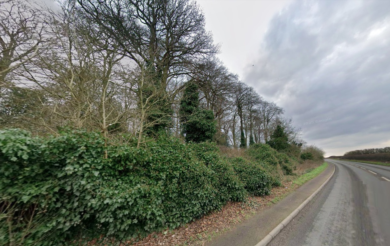 Property image #4