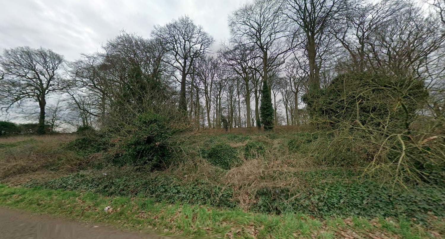 Property image #5