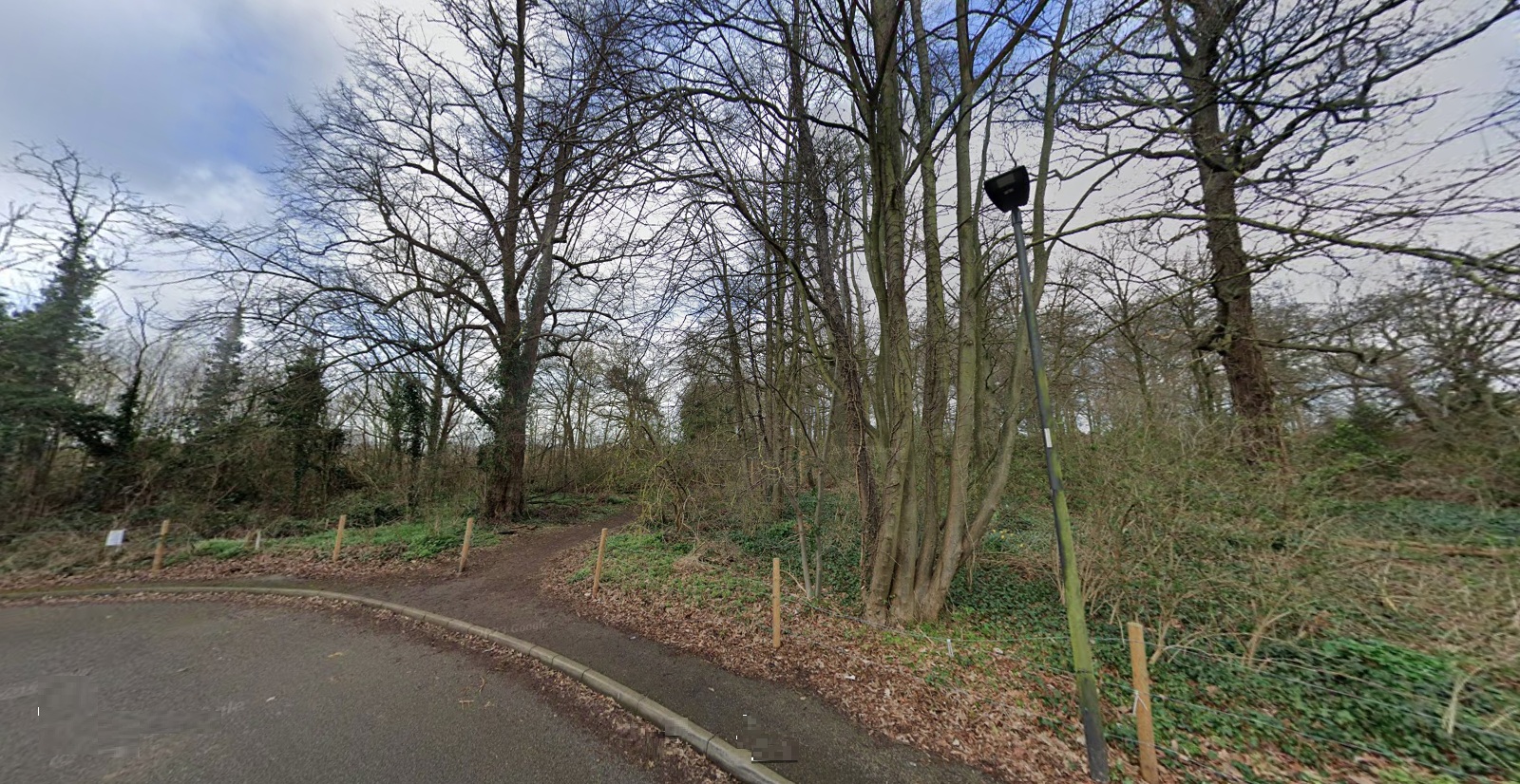 Woodland on the south side of Tickhill Road, Bawtry, Doncaster, South Yorkshire DN10 6XB