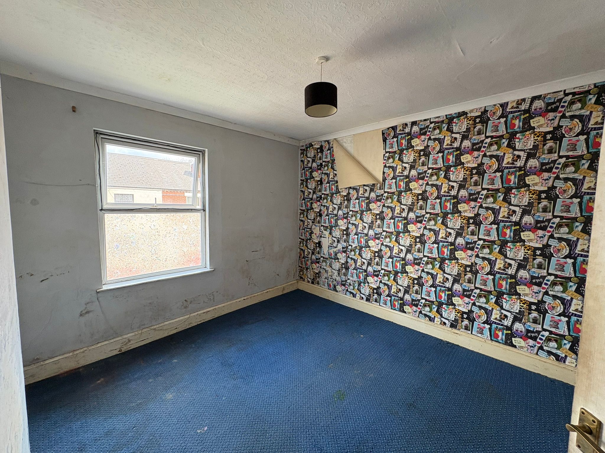 Property image #6