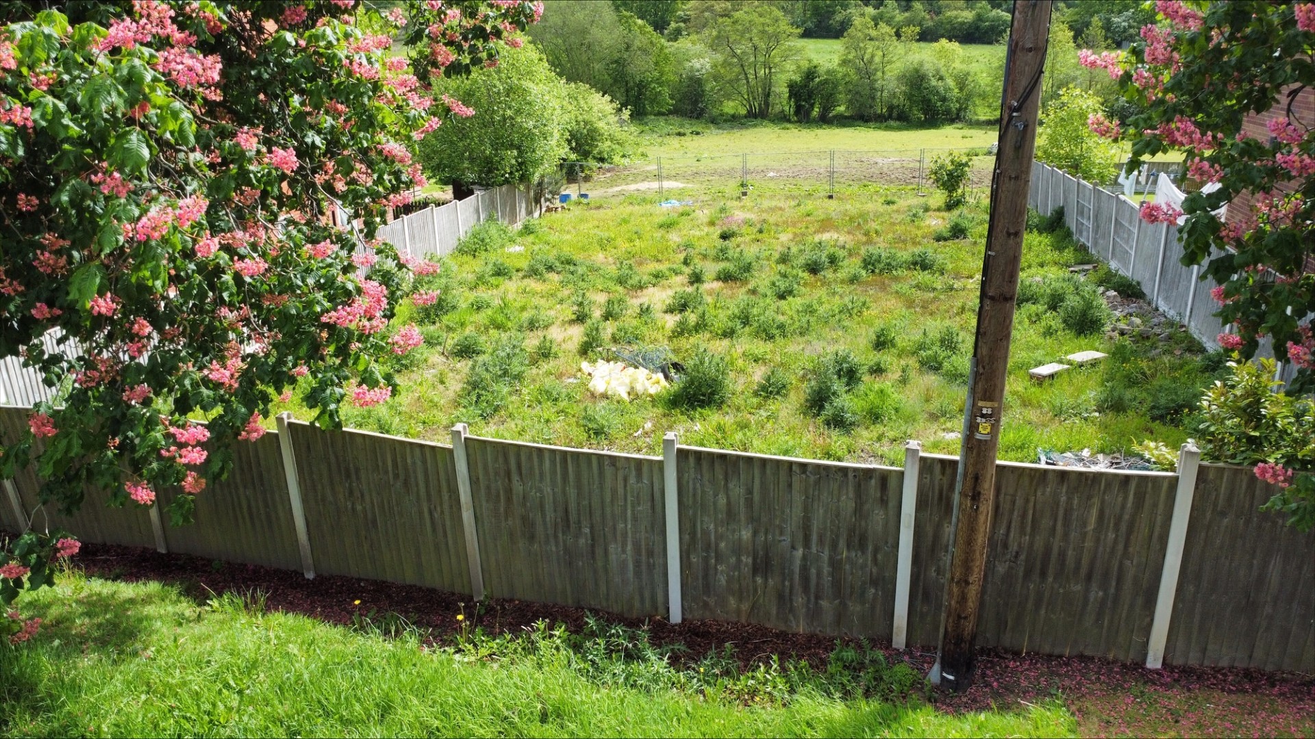Property image #6
