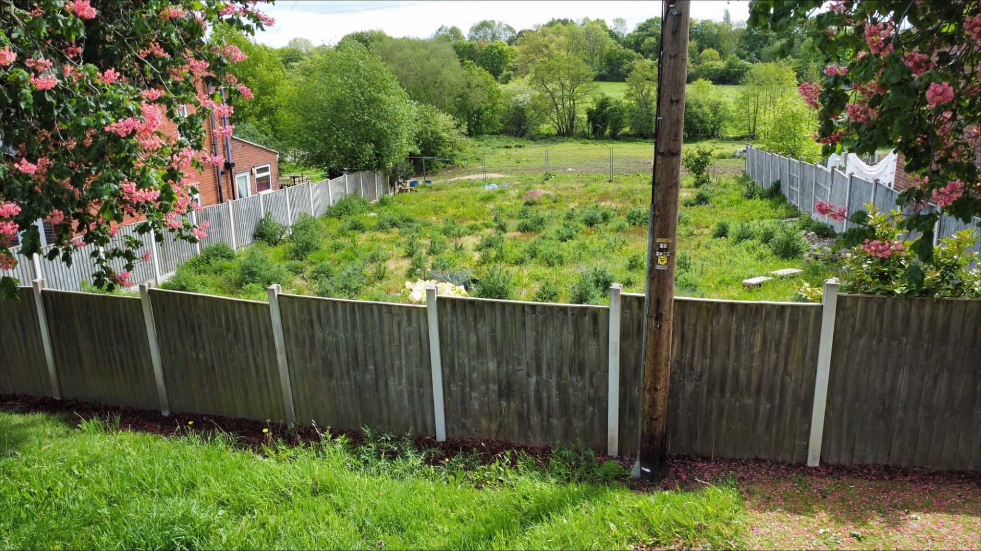 Property image #5