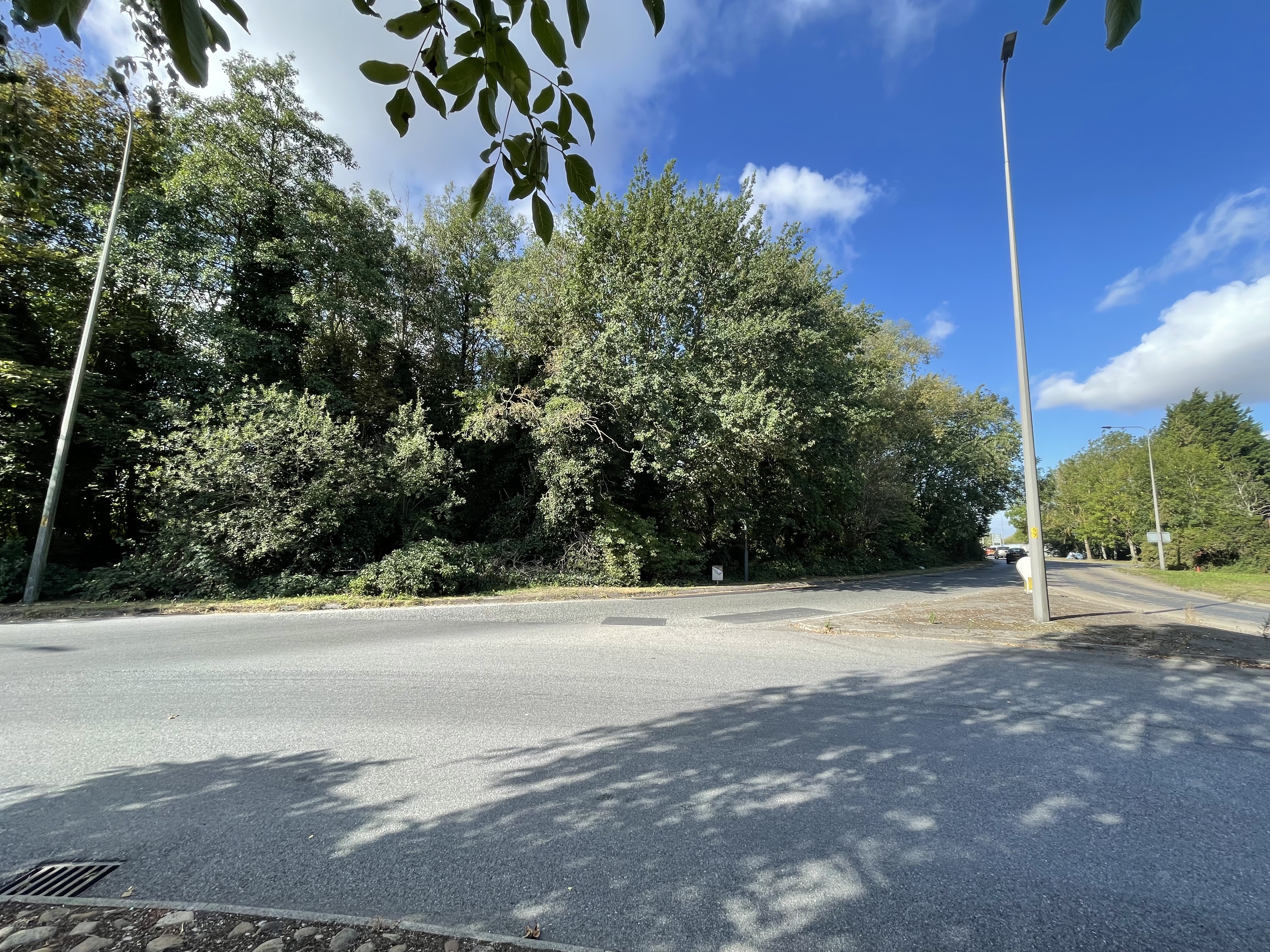 Property image #5