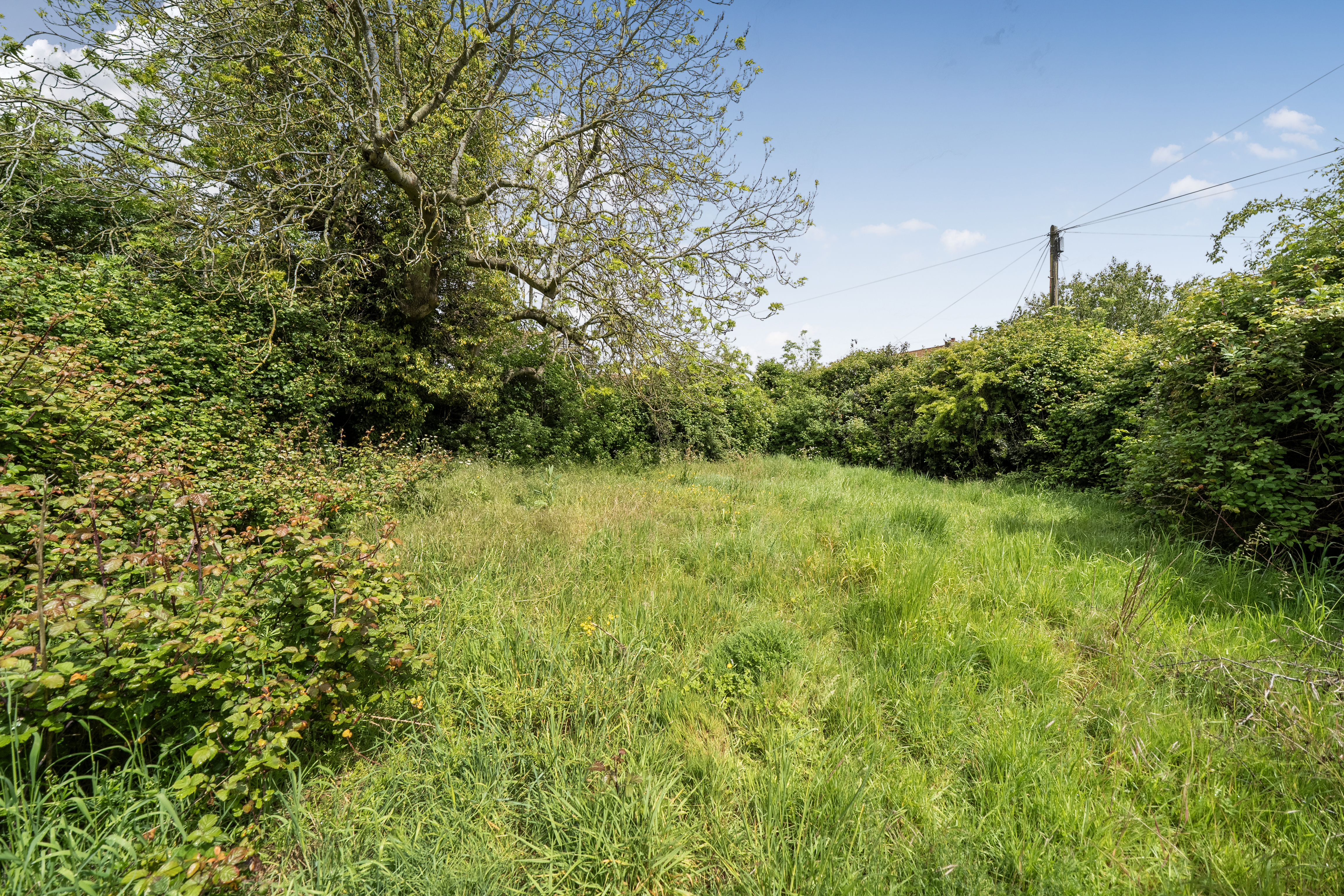 Property image #2