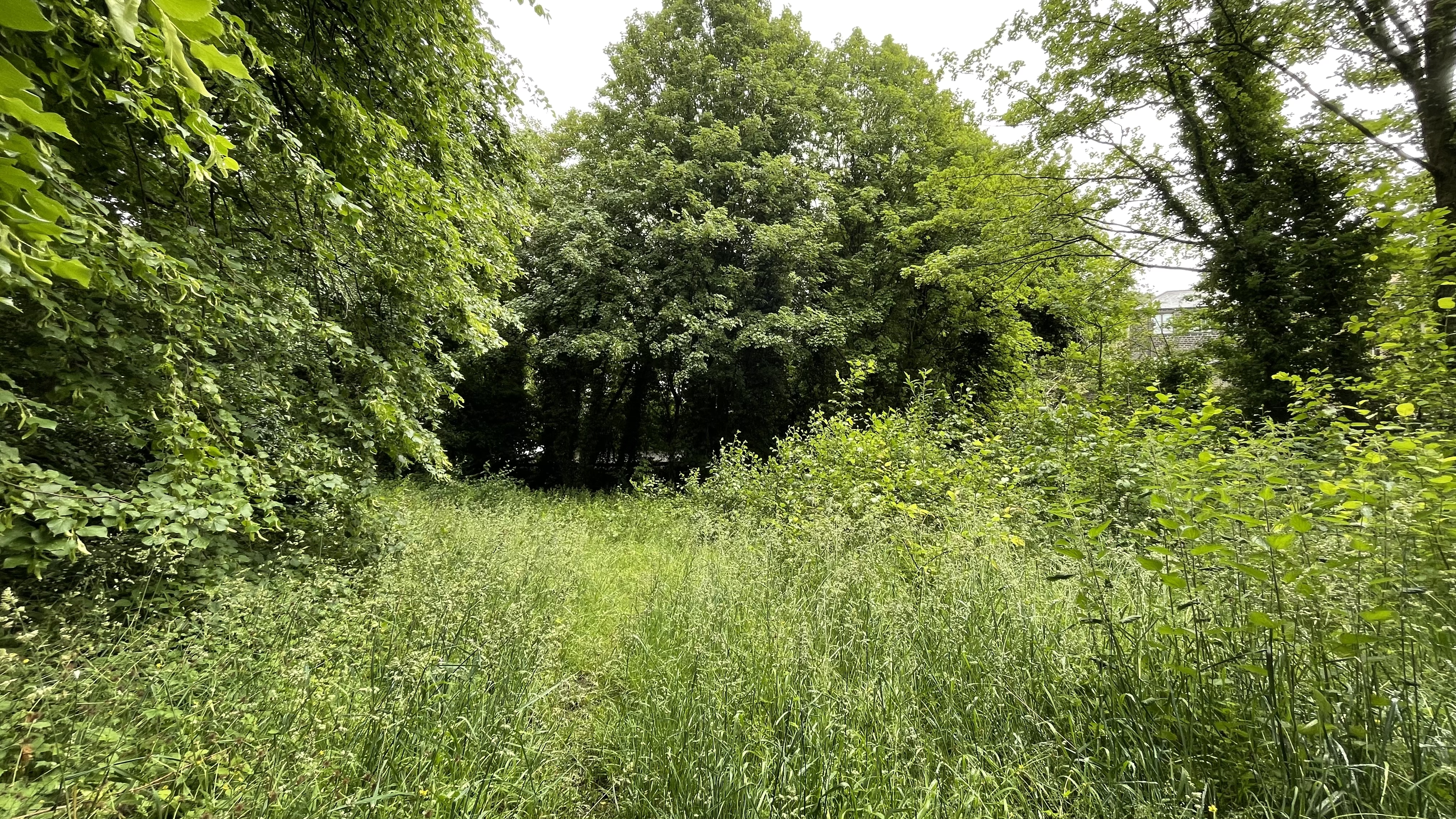 Property image #3