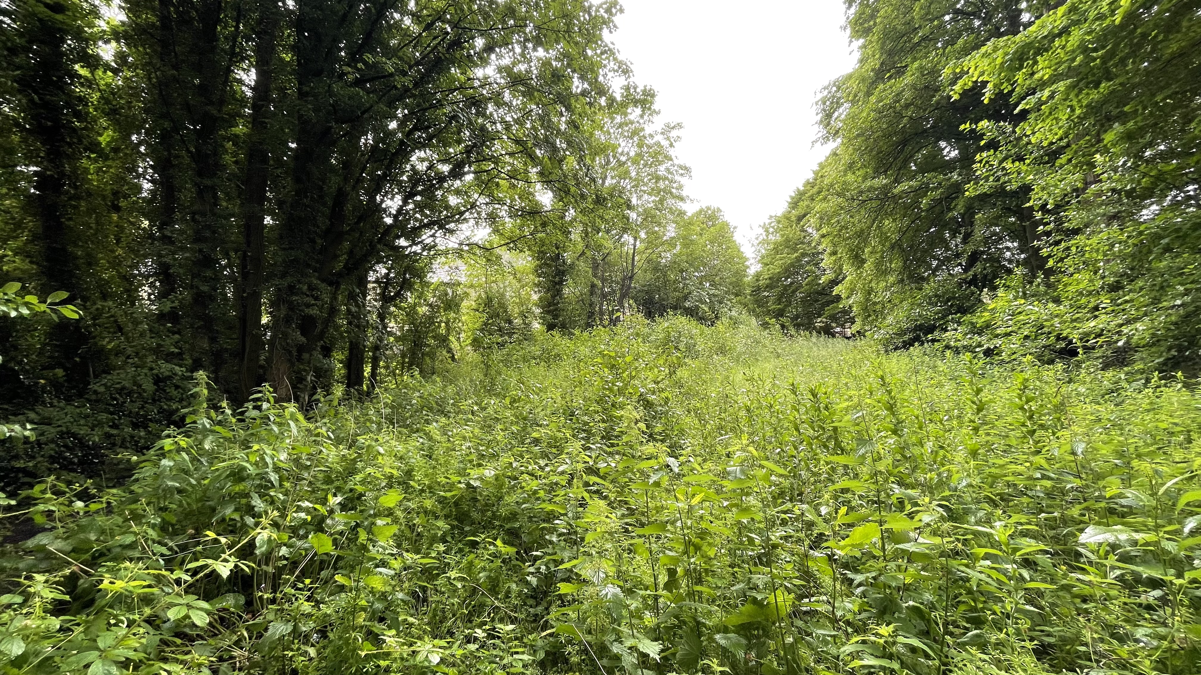 Property image #4