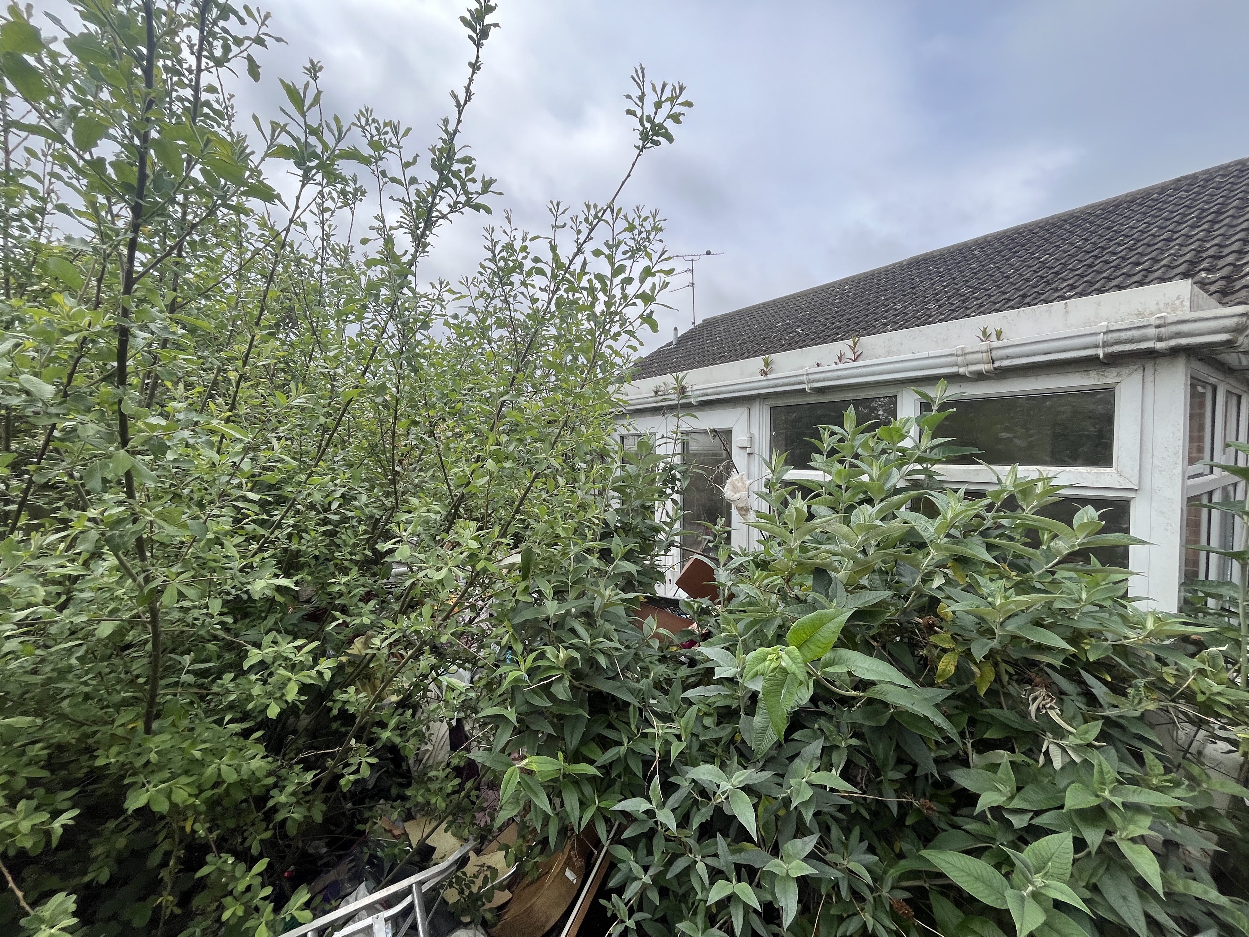 Property image #9