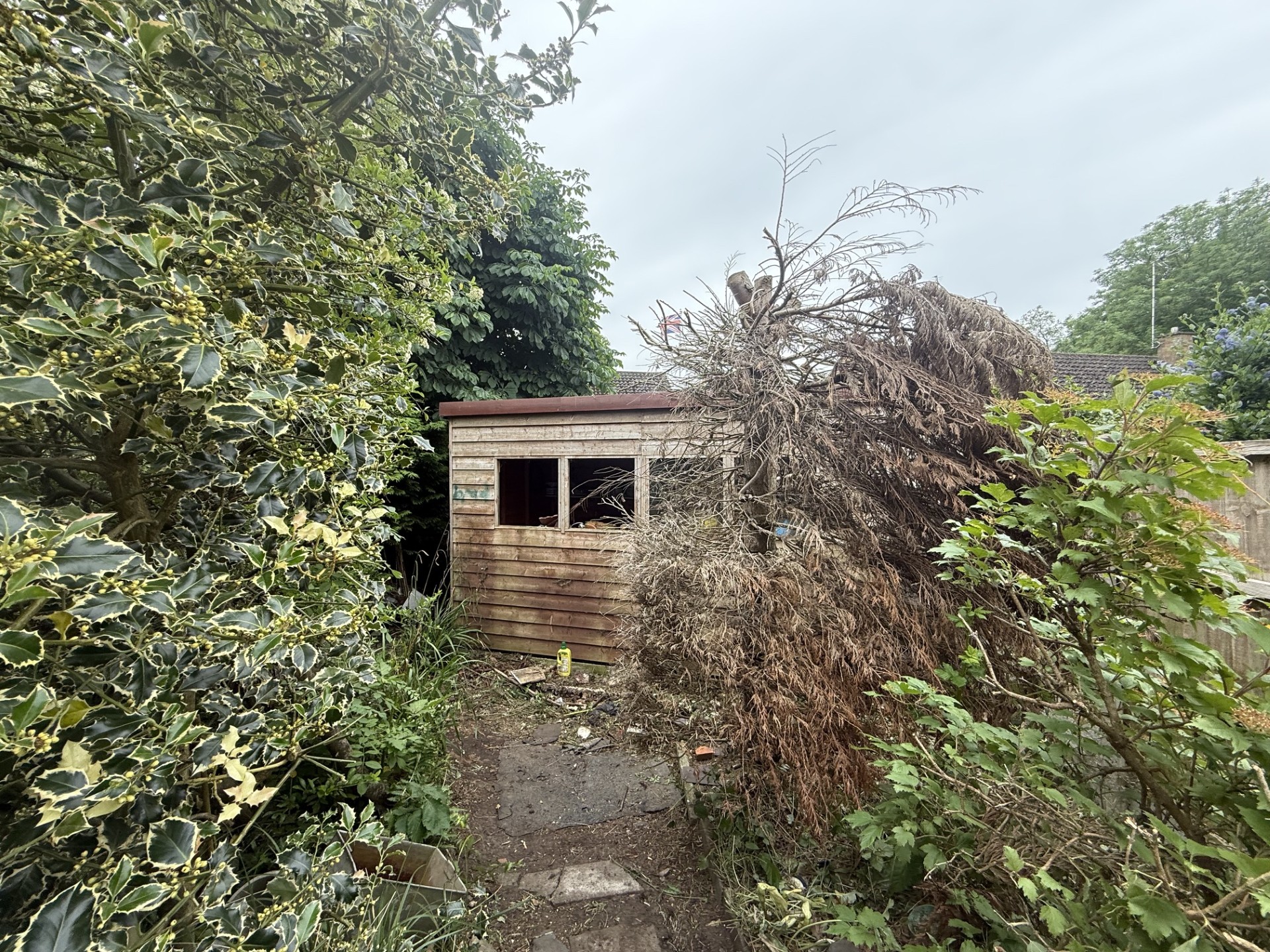Property image #8