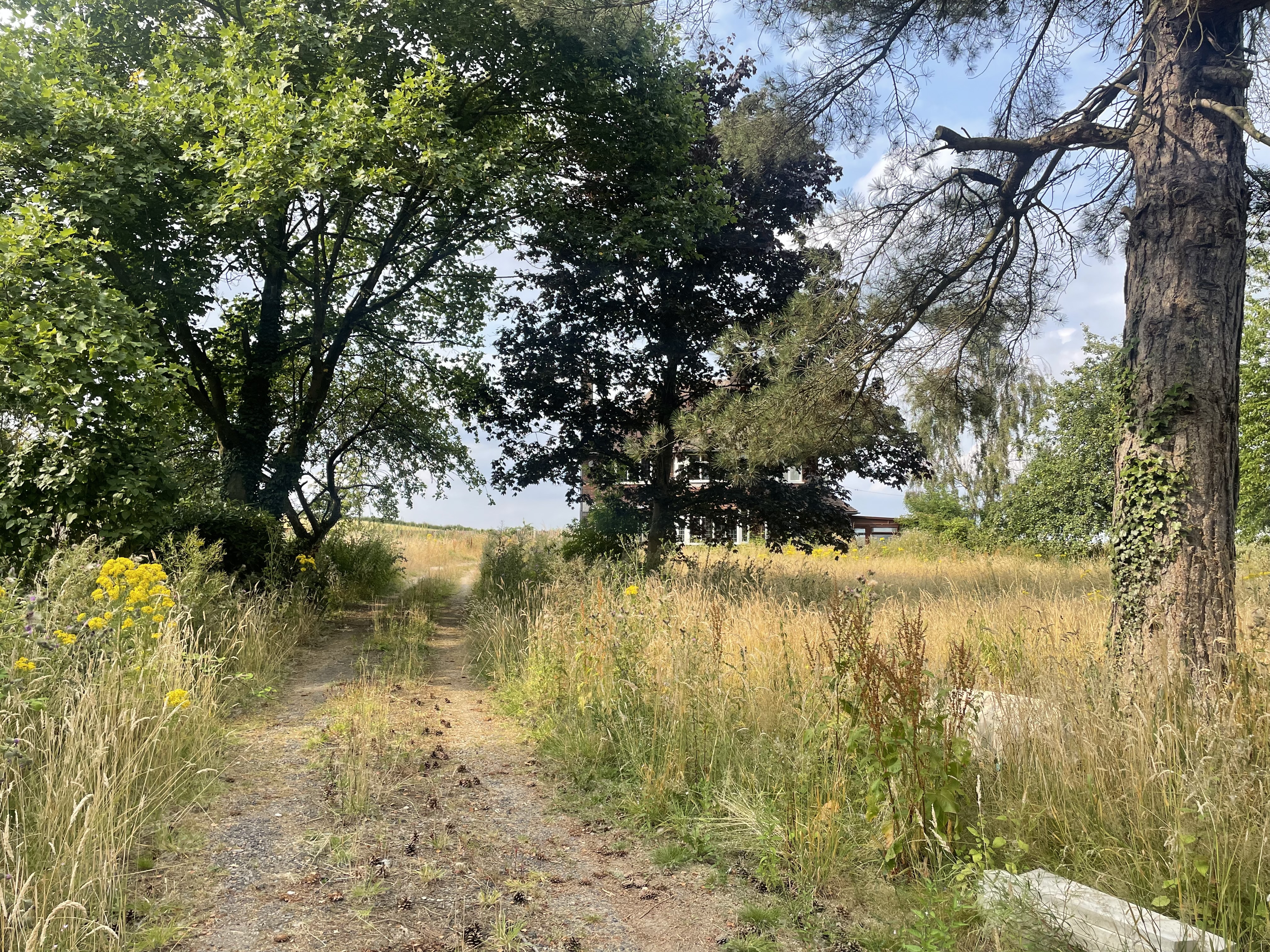 Property image #7