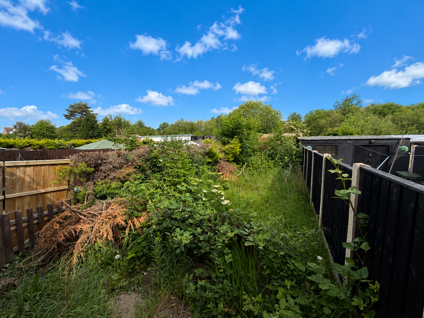 Property image #9
