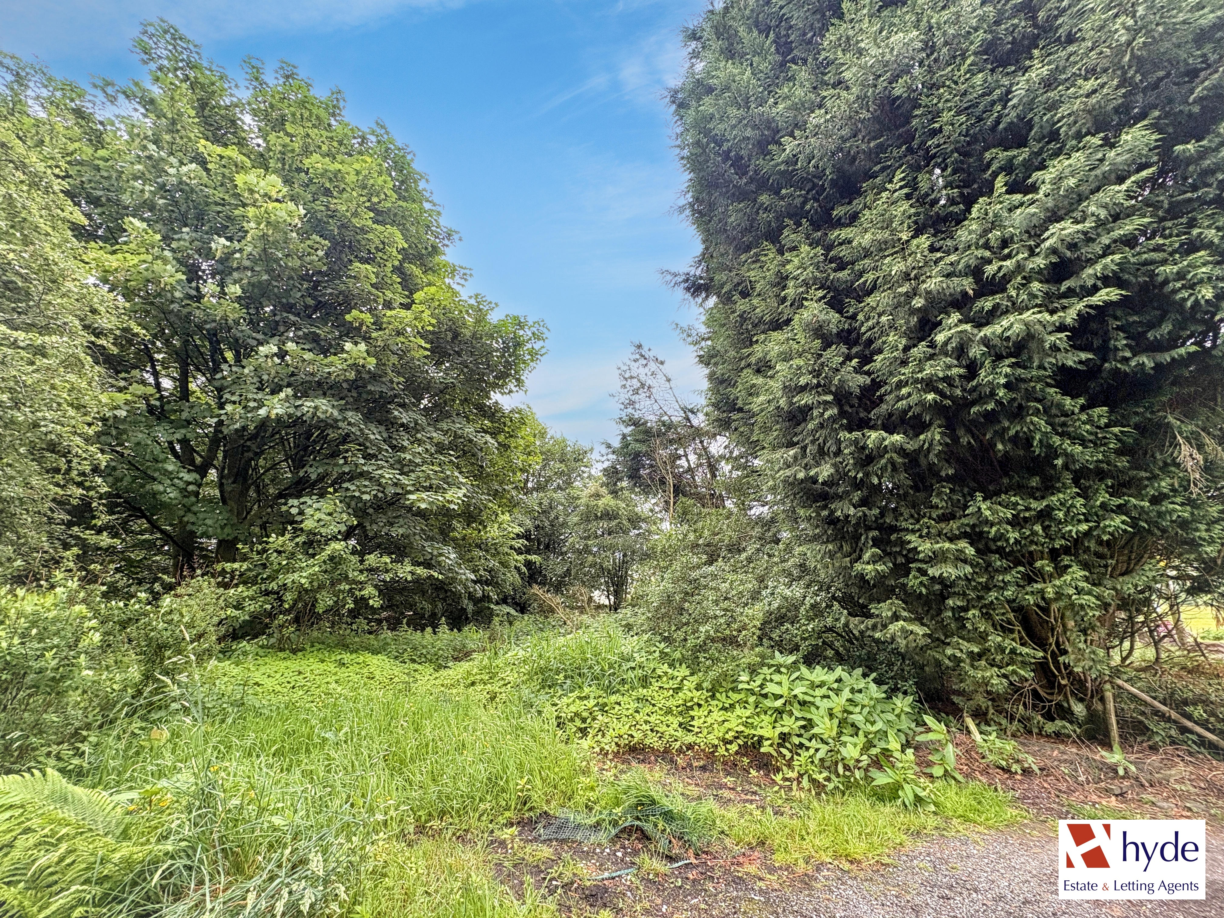 Property image #9