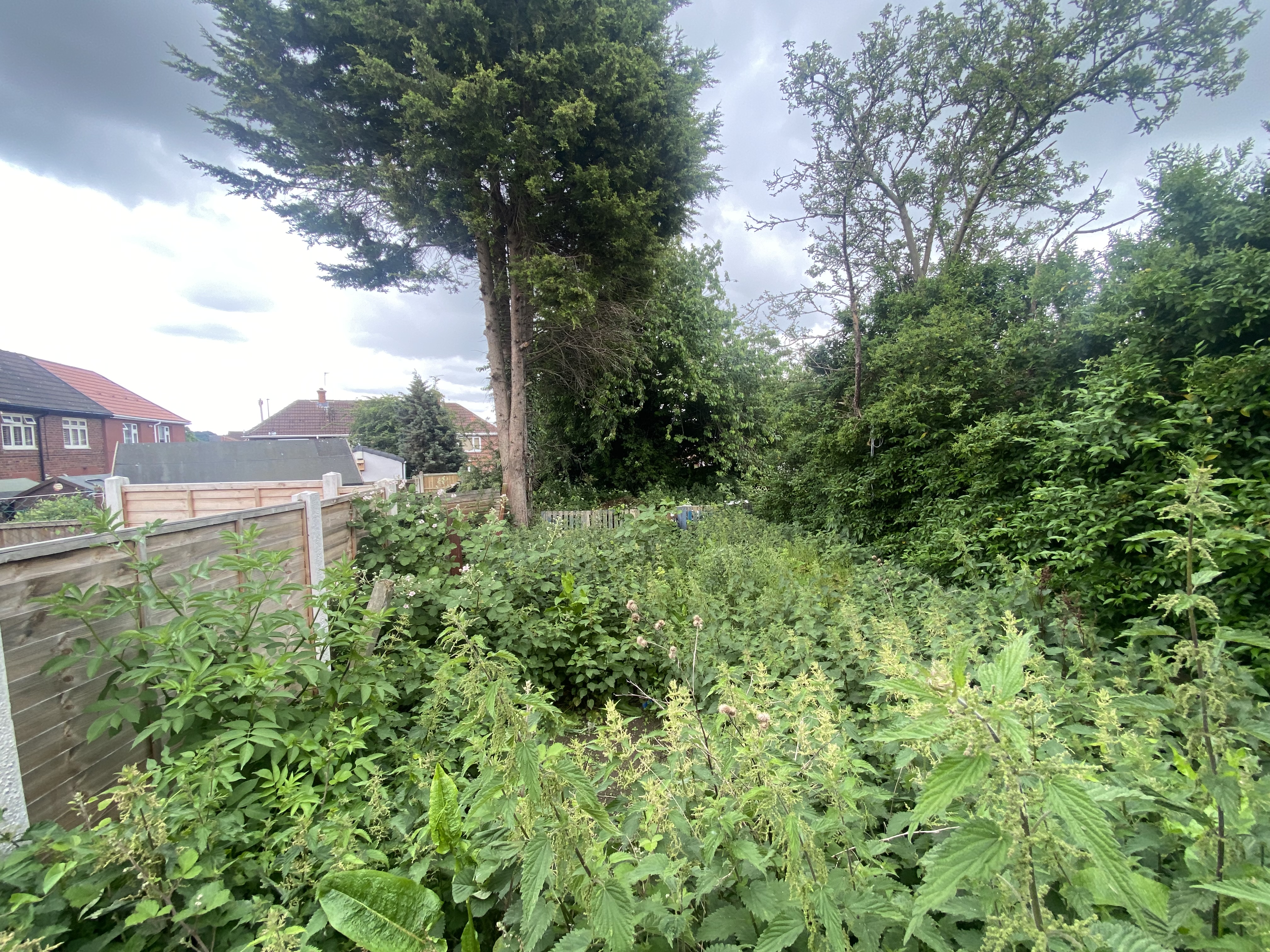 Property image #5