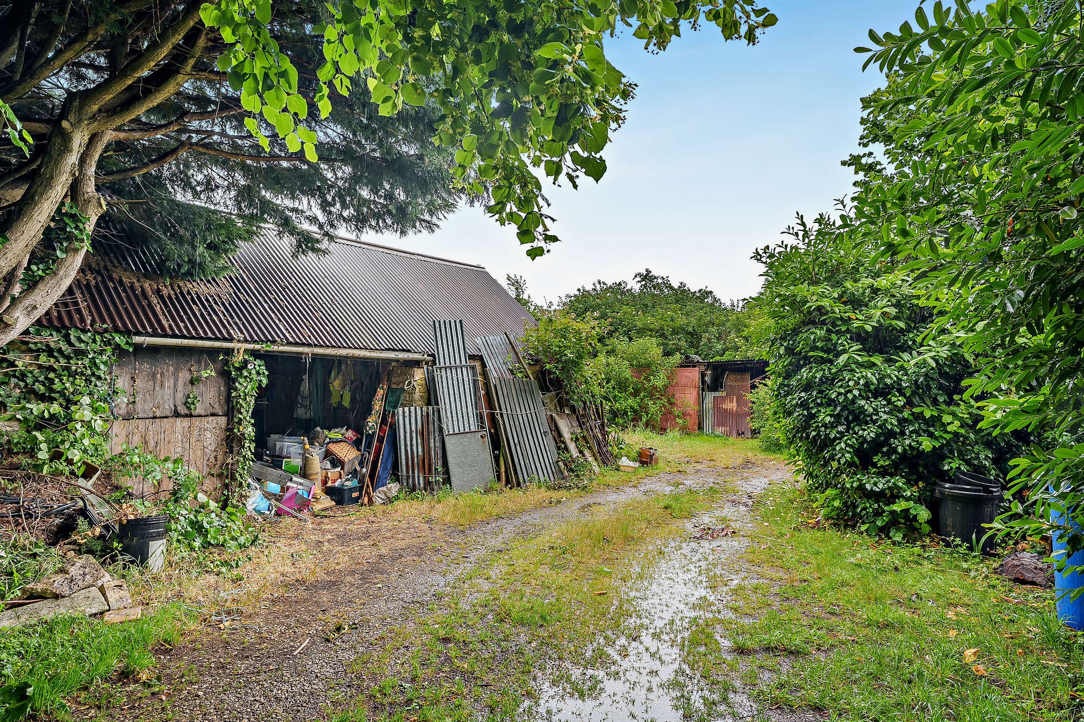 Property image #8