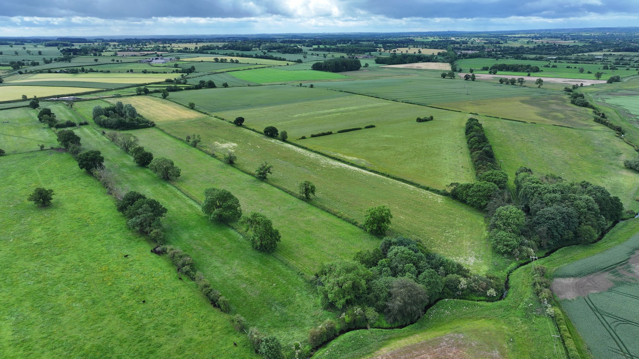 Property image #5