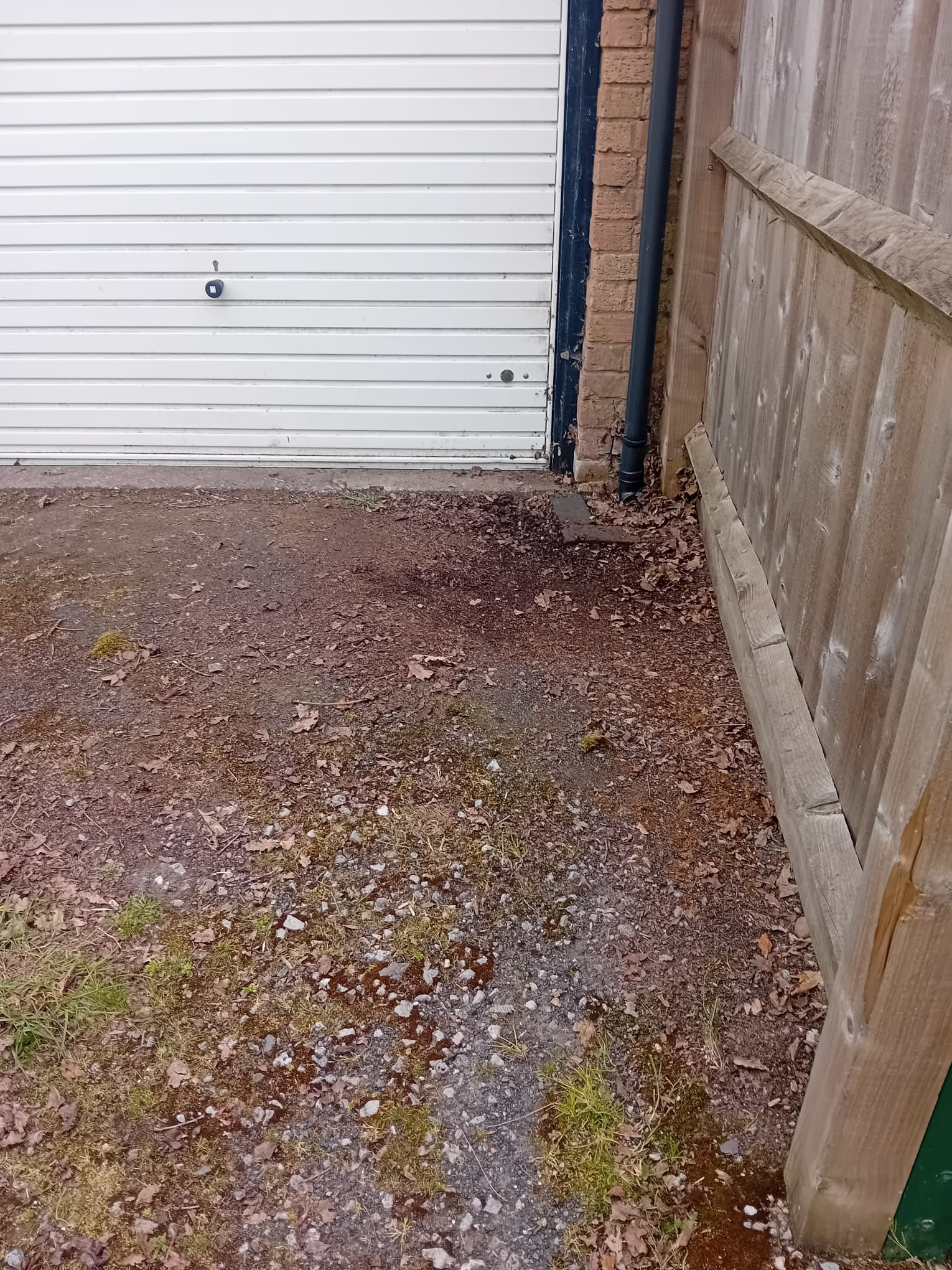 Property image #5