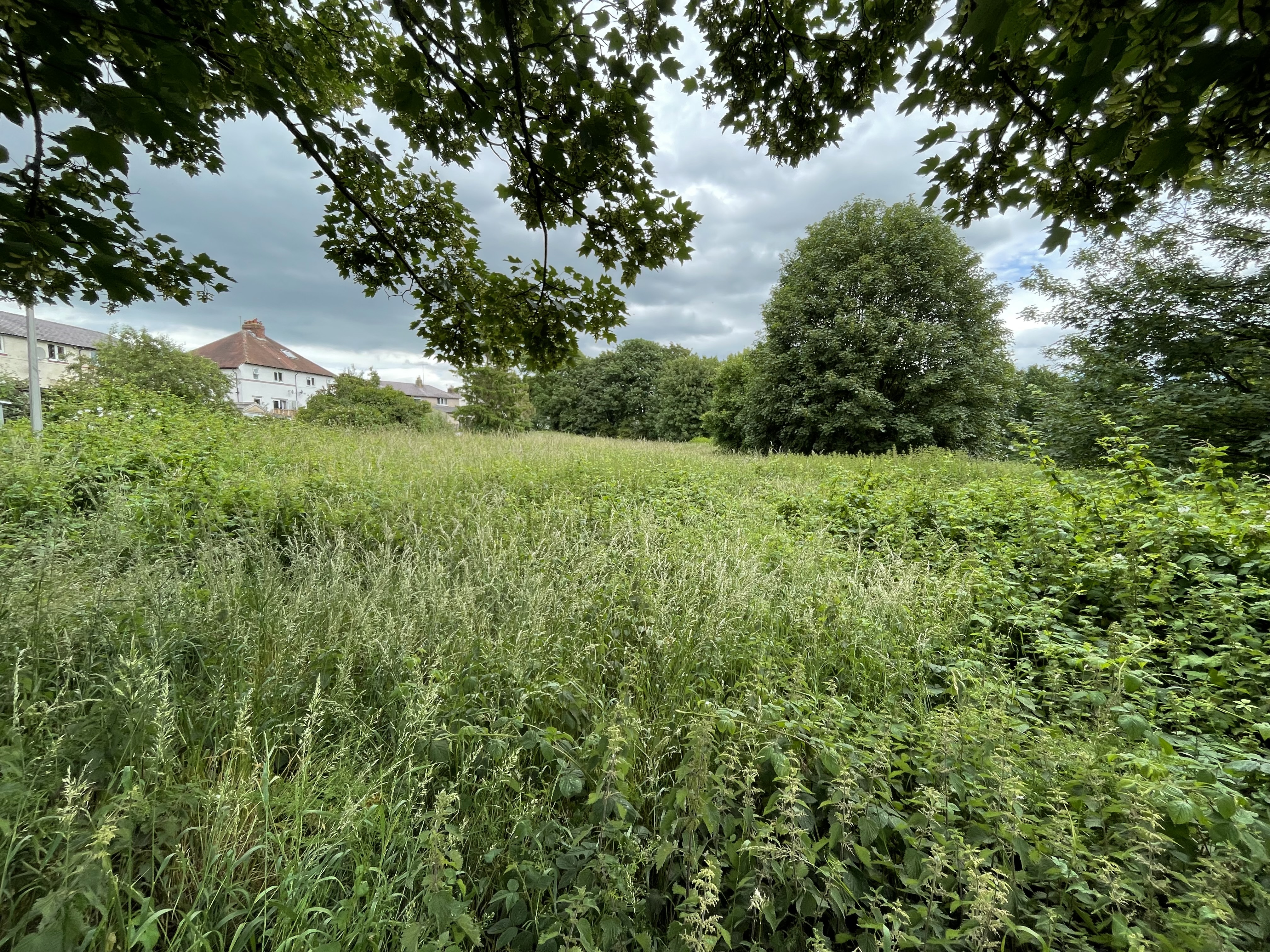 Property image #6