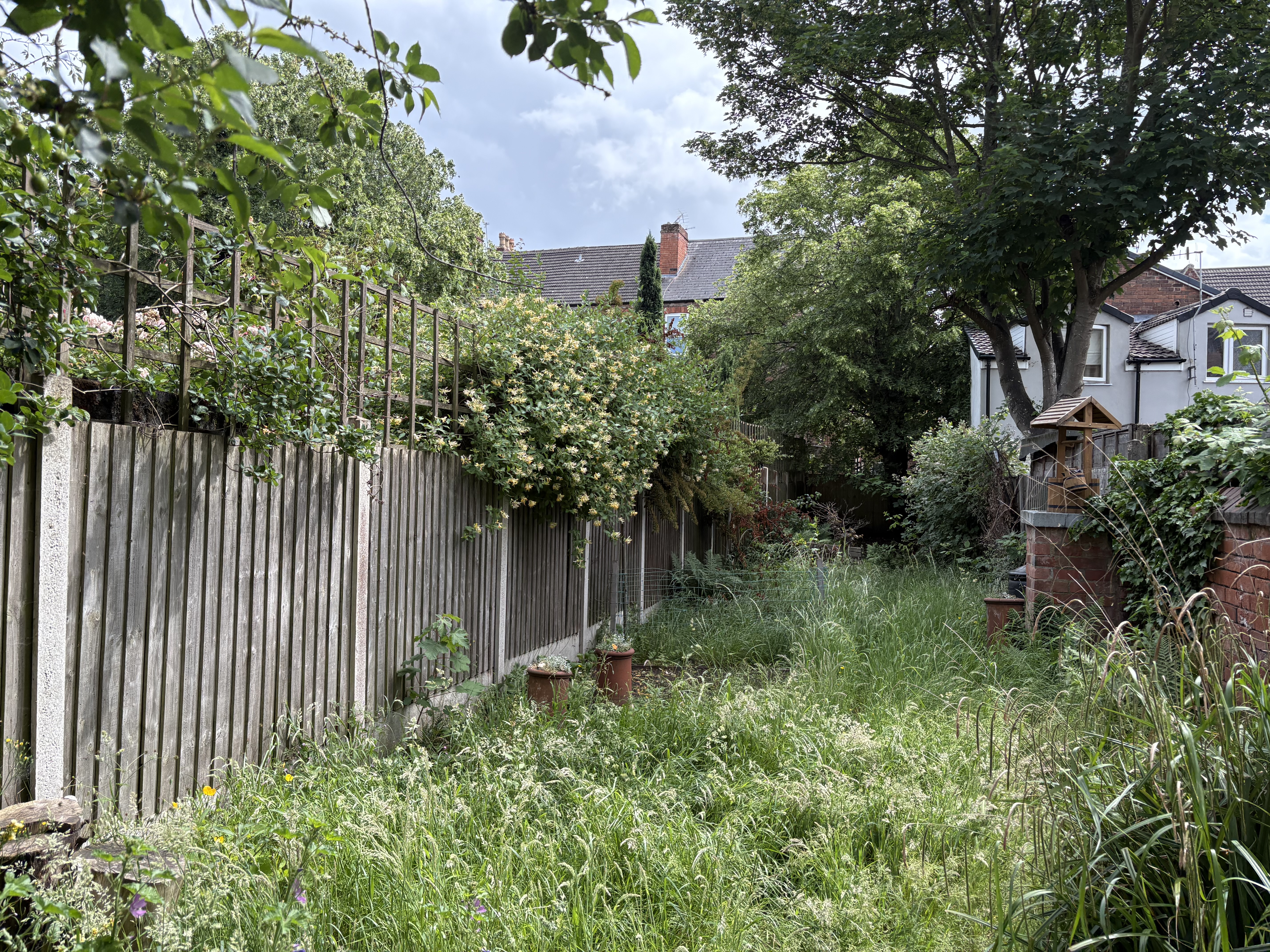 Property image #8