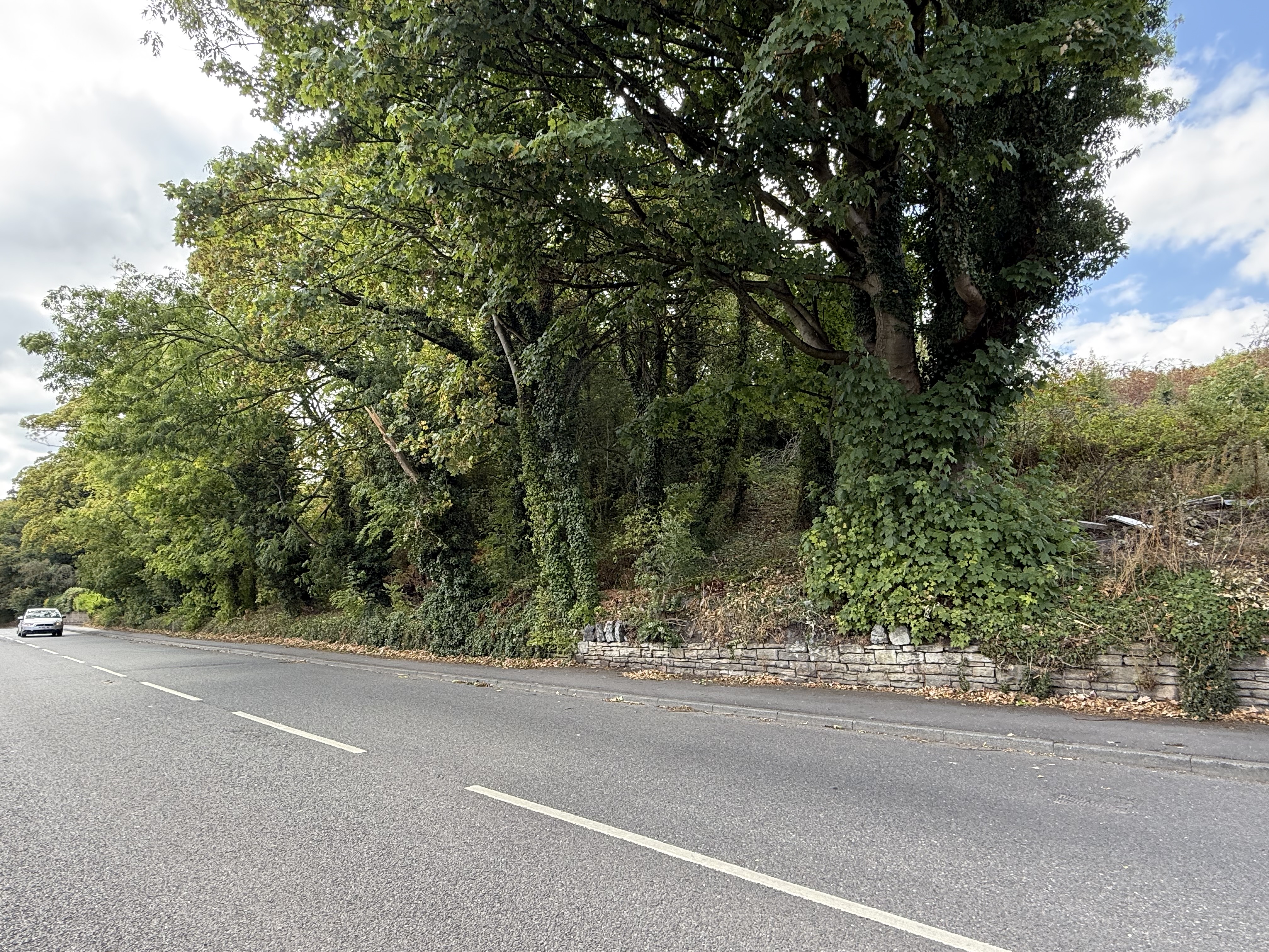Property image #6