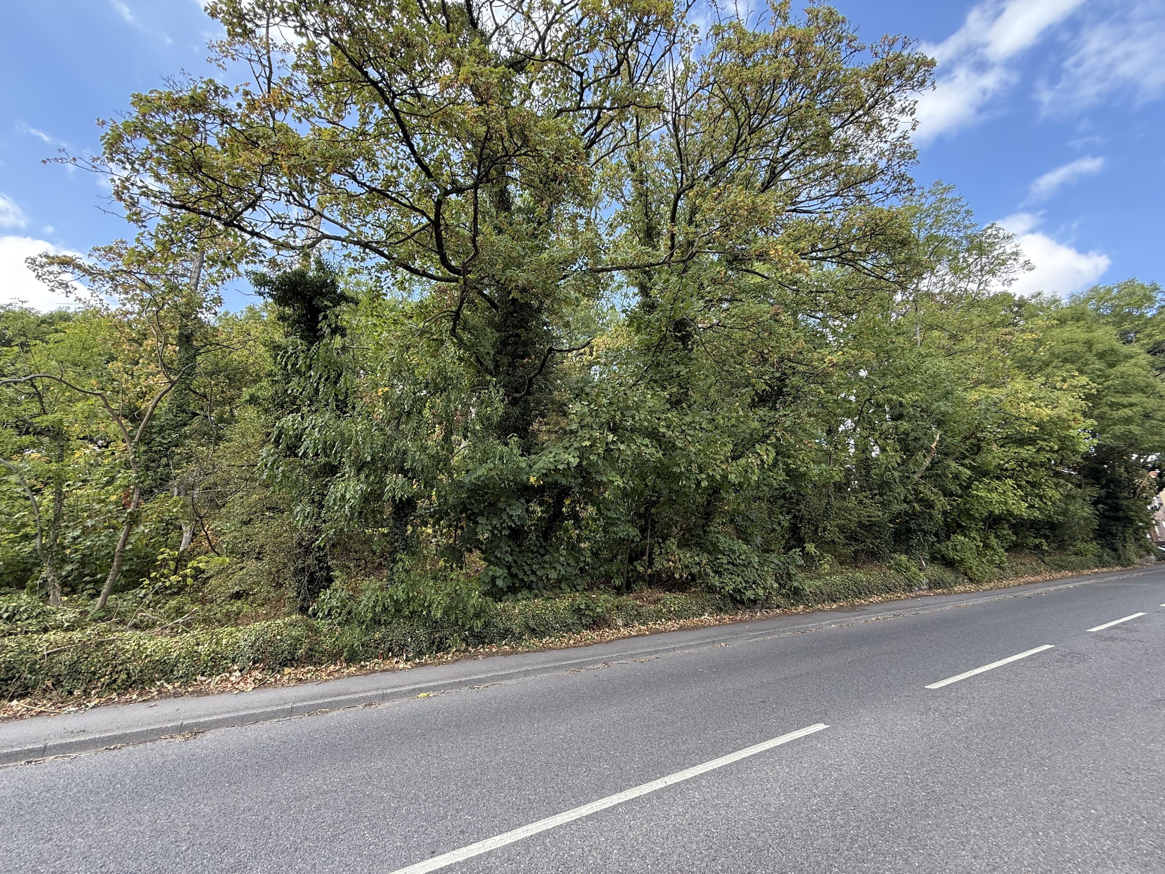 Property image #5