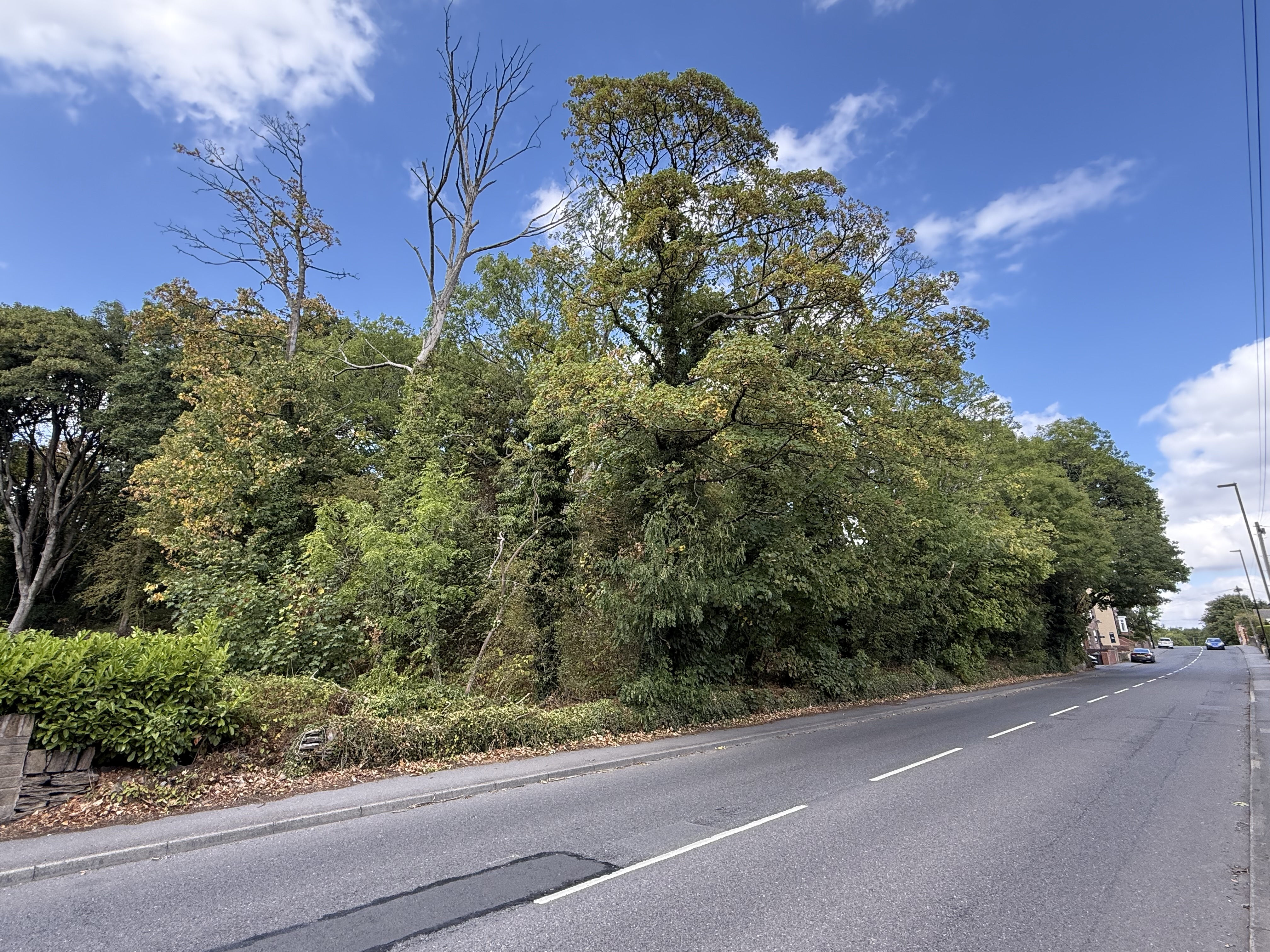 Property image #4