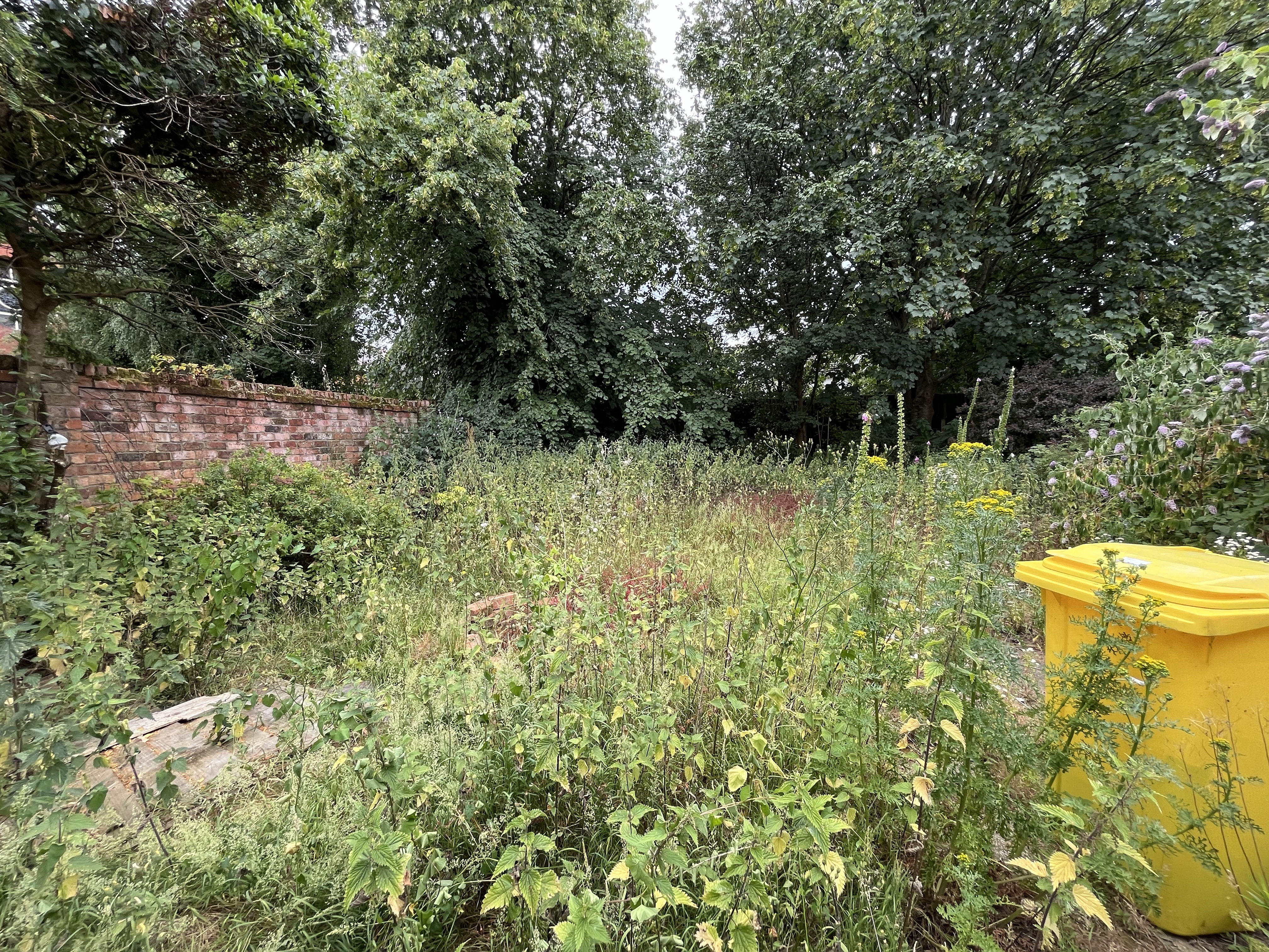Property image #4