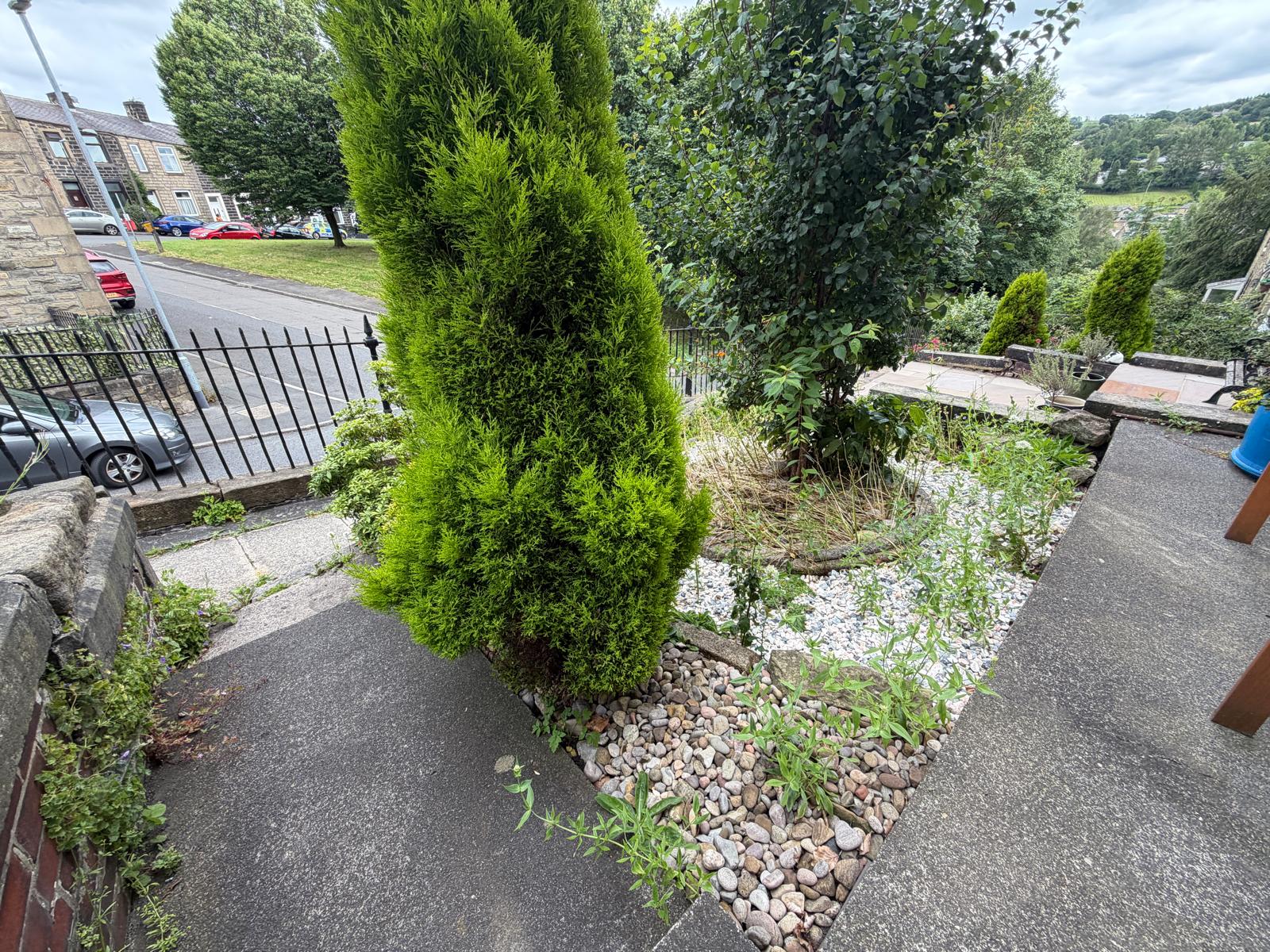 Property image #7