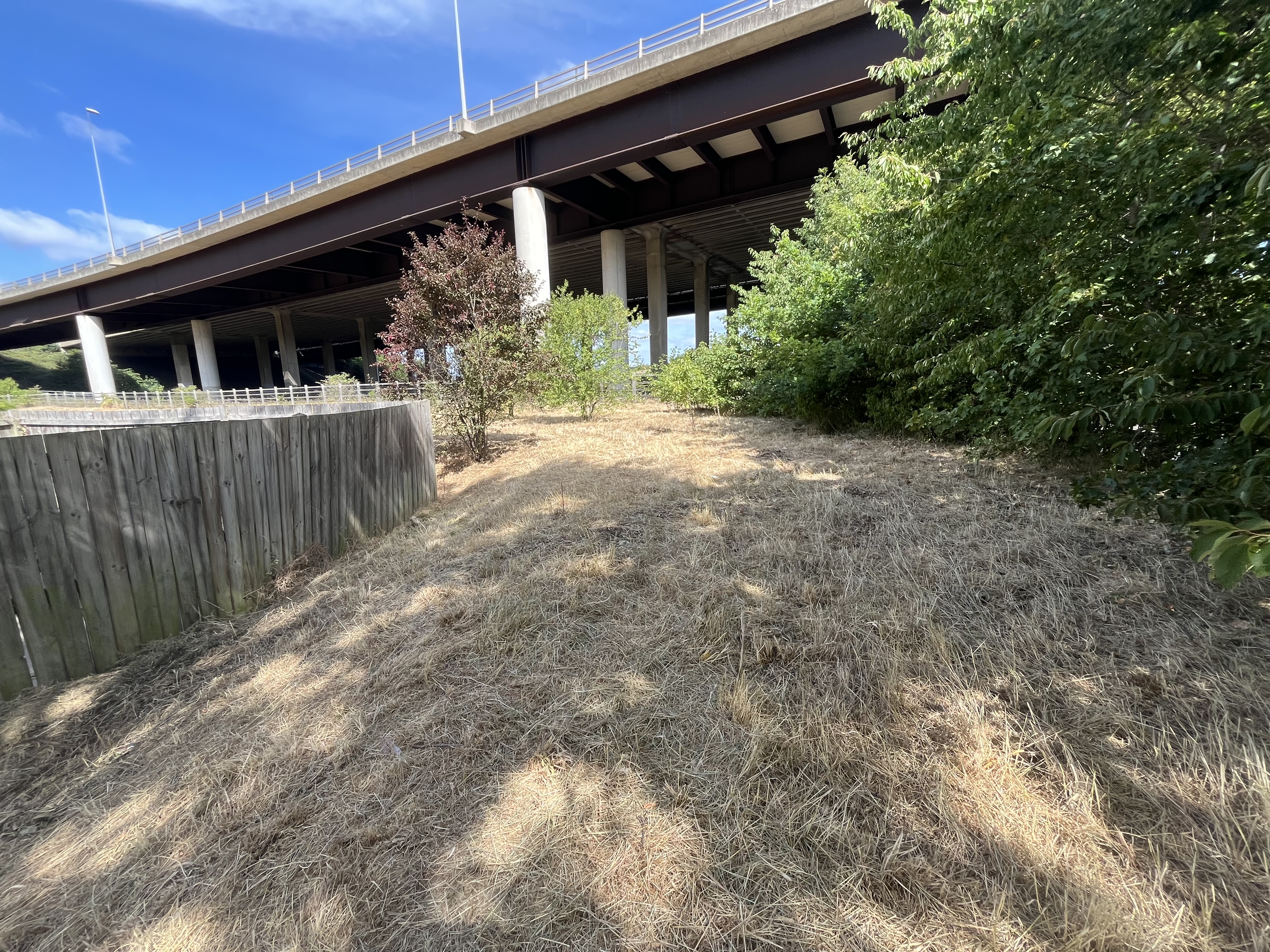Property image #2