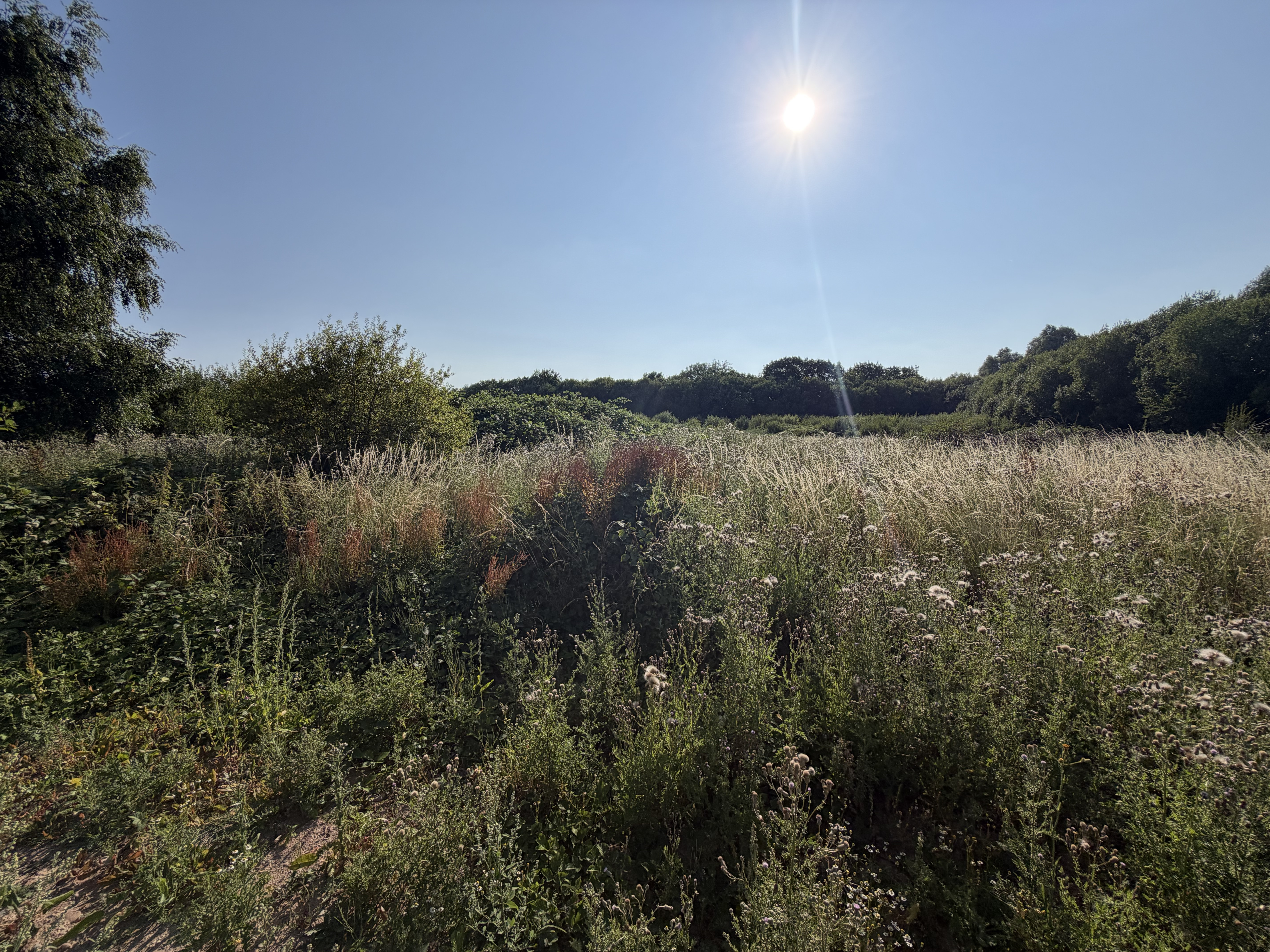 Property image #3