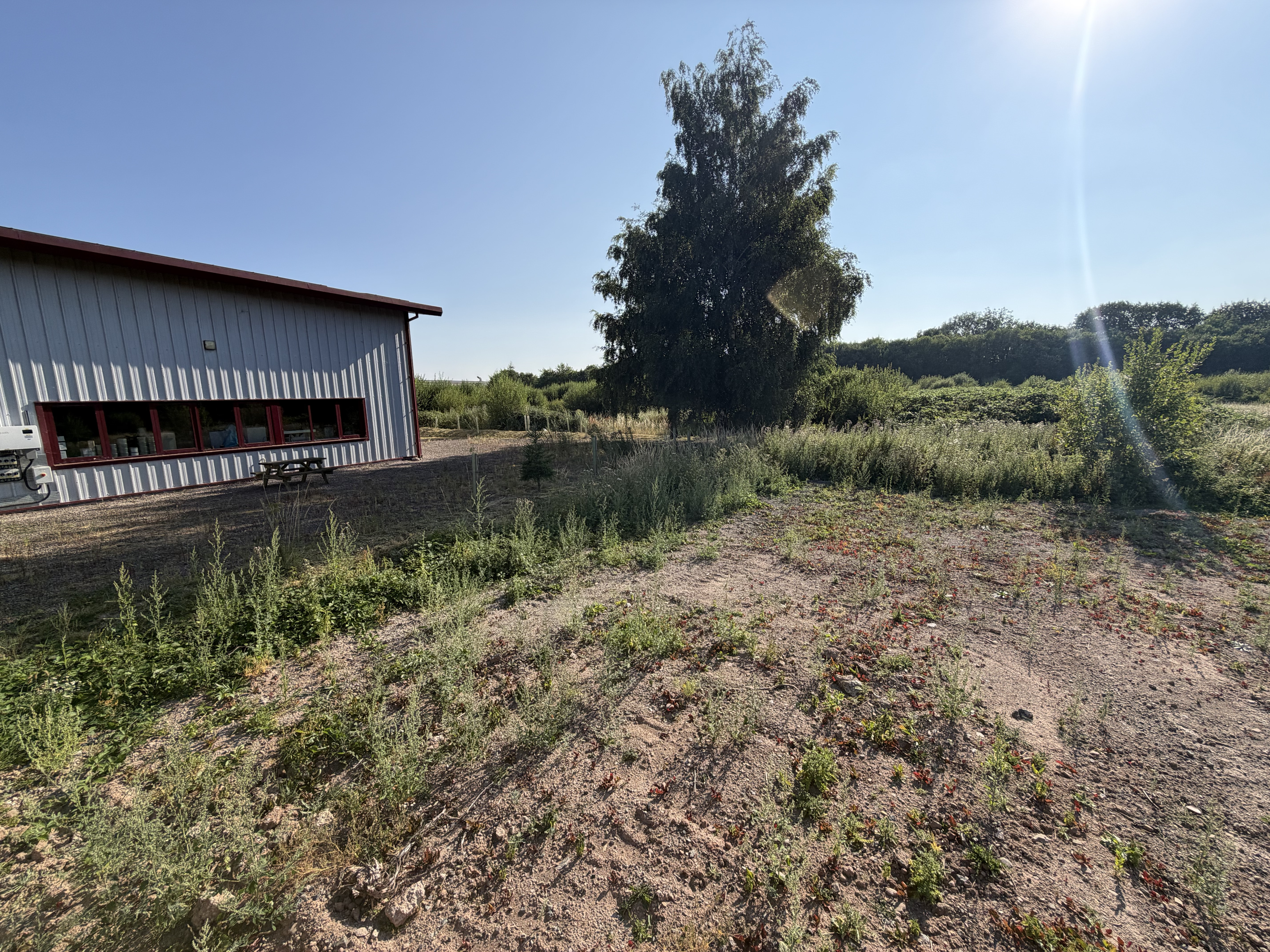 Property image #6