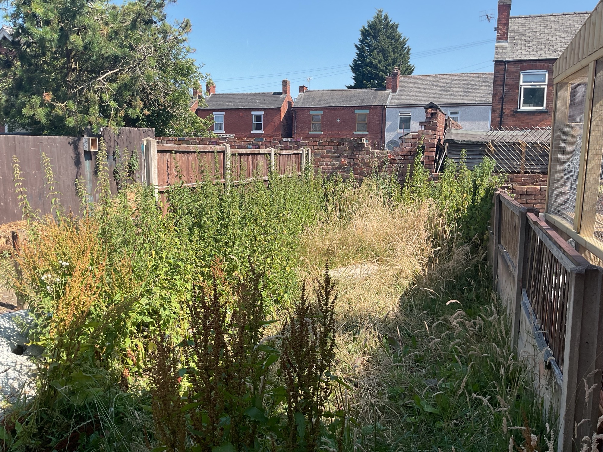 Property image #8