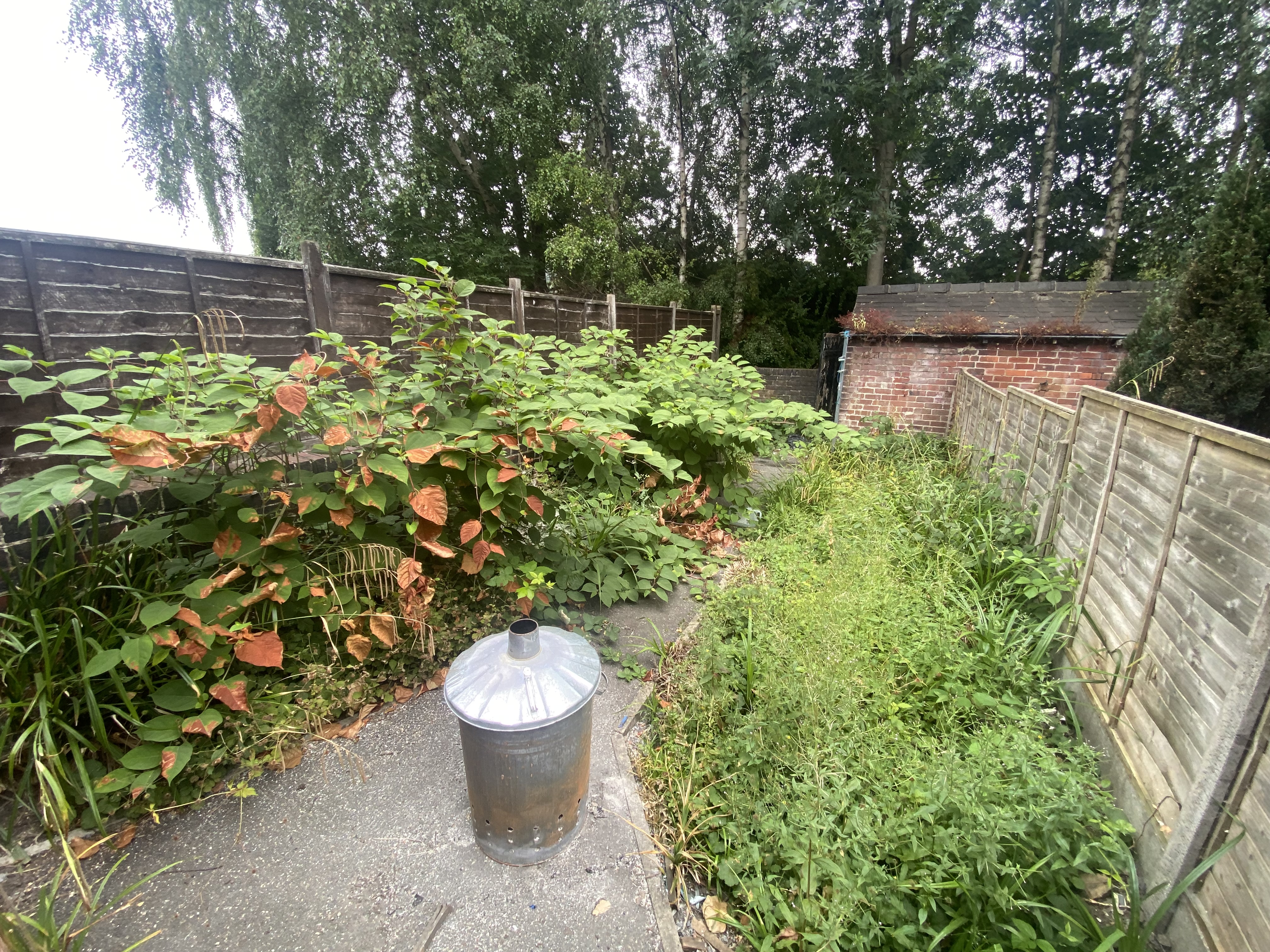 Property image #2