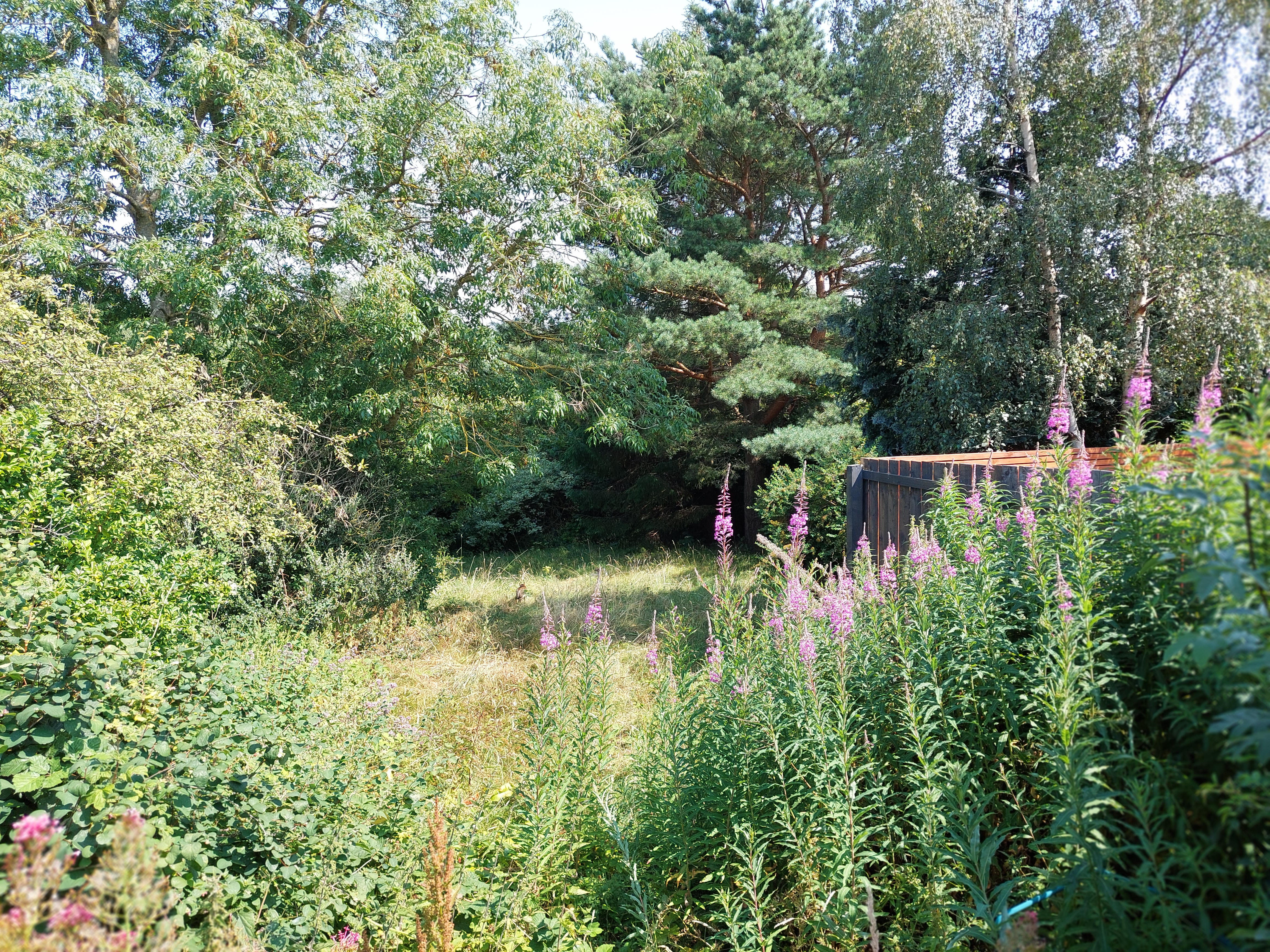 Property image #4