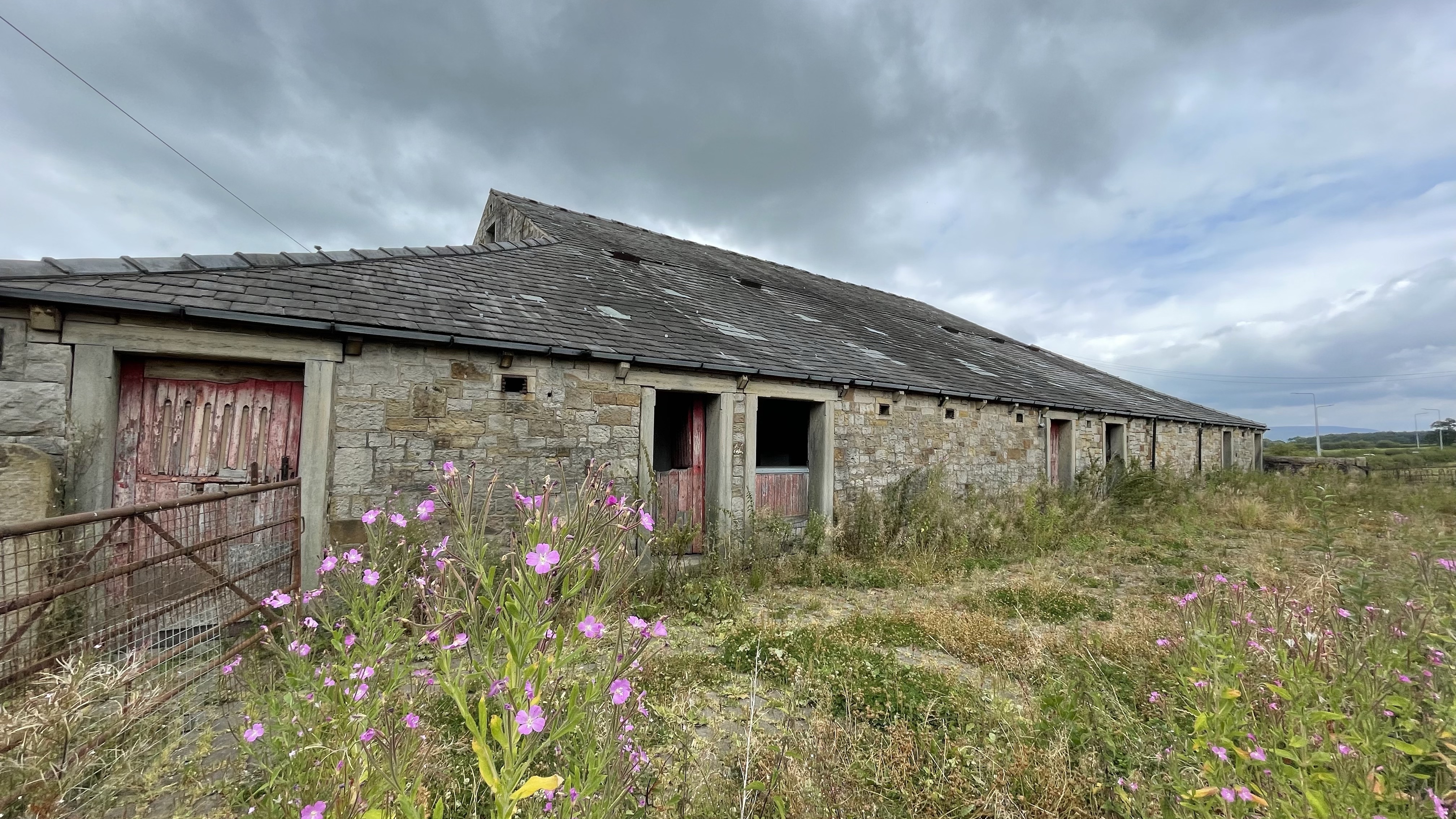 Property image #8