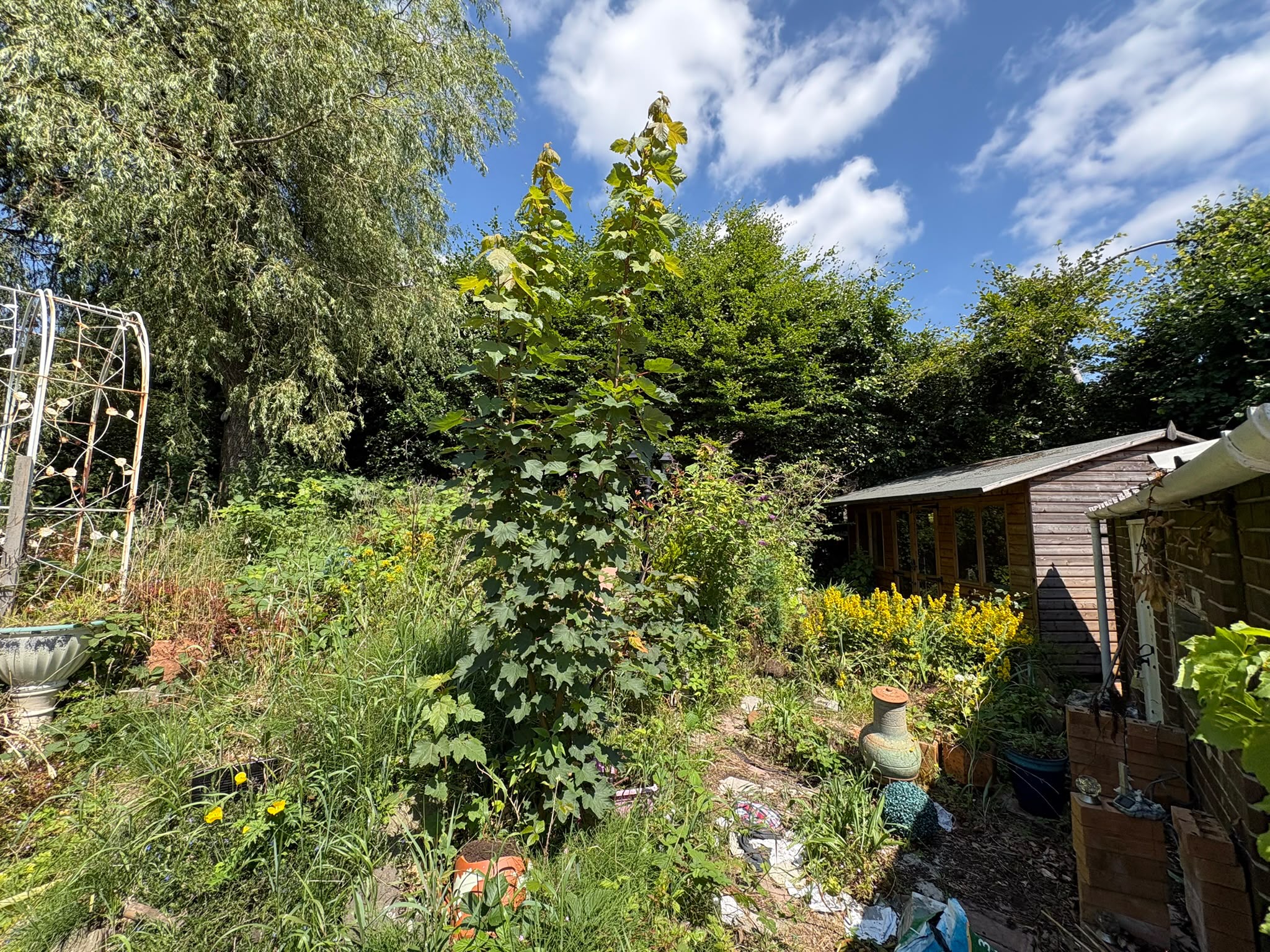 Property image #7