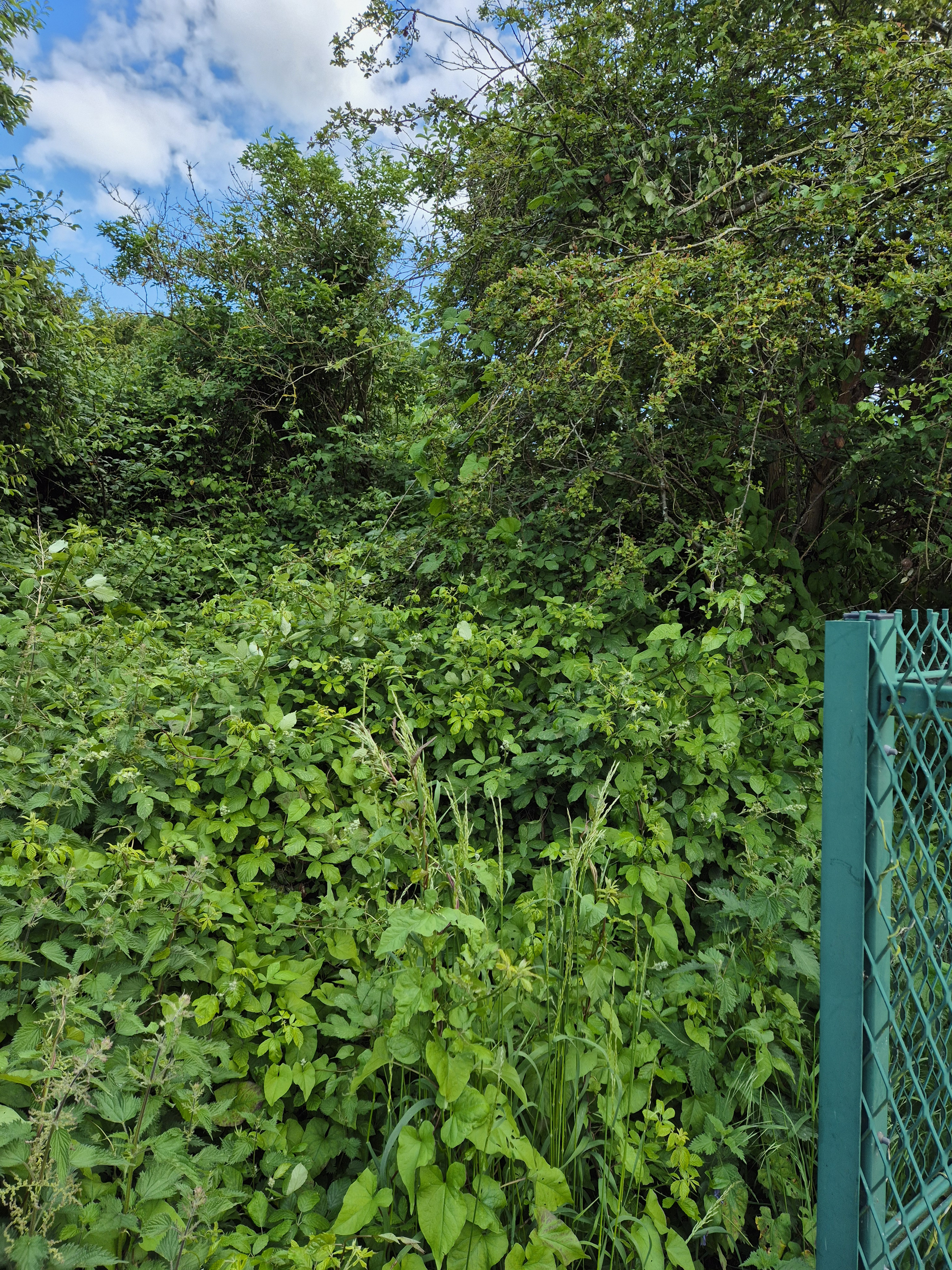 Property image #3