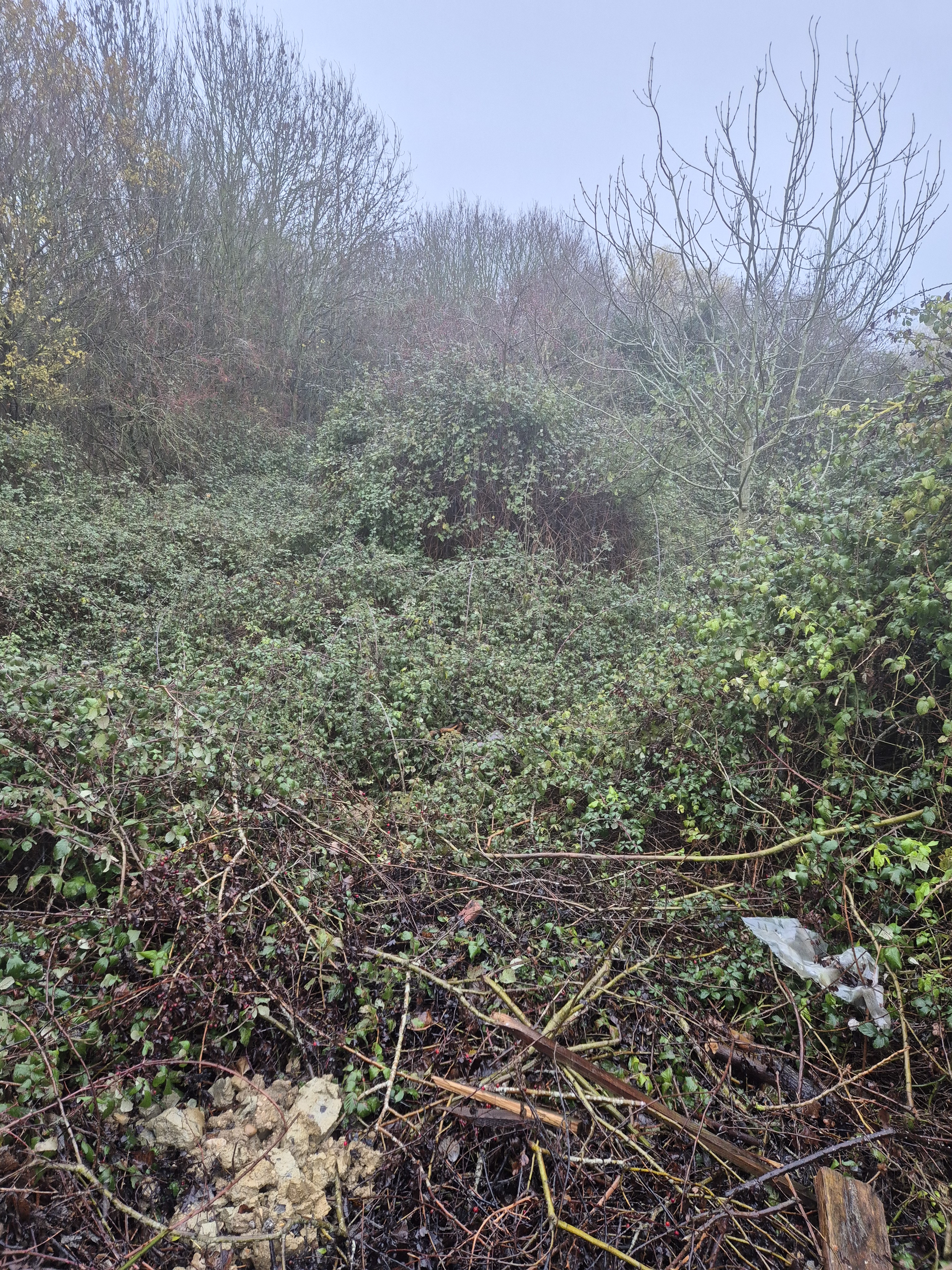 Property image #4
