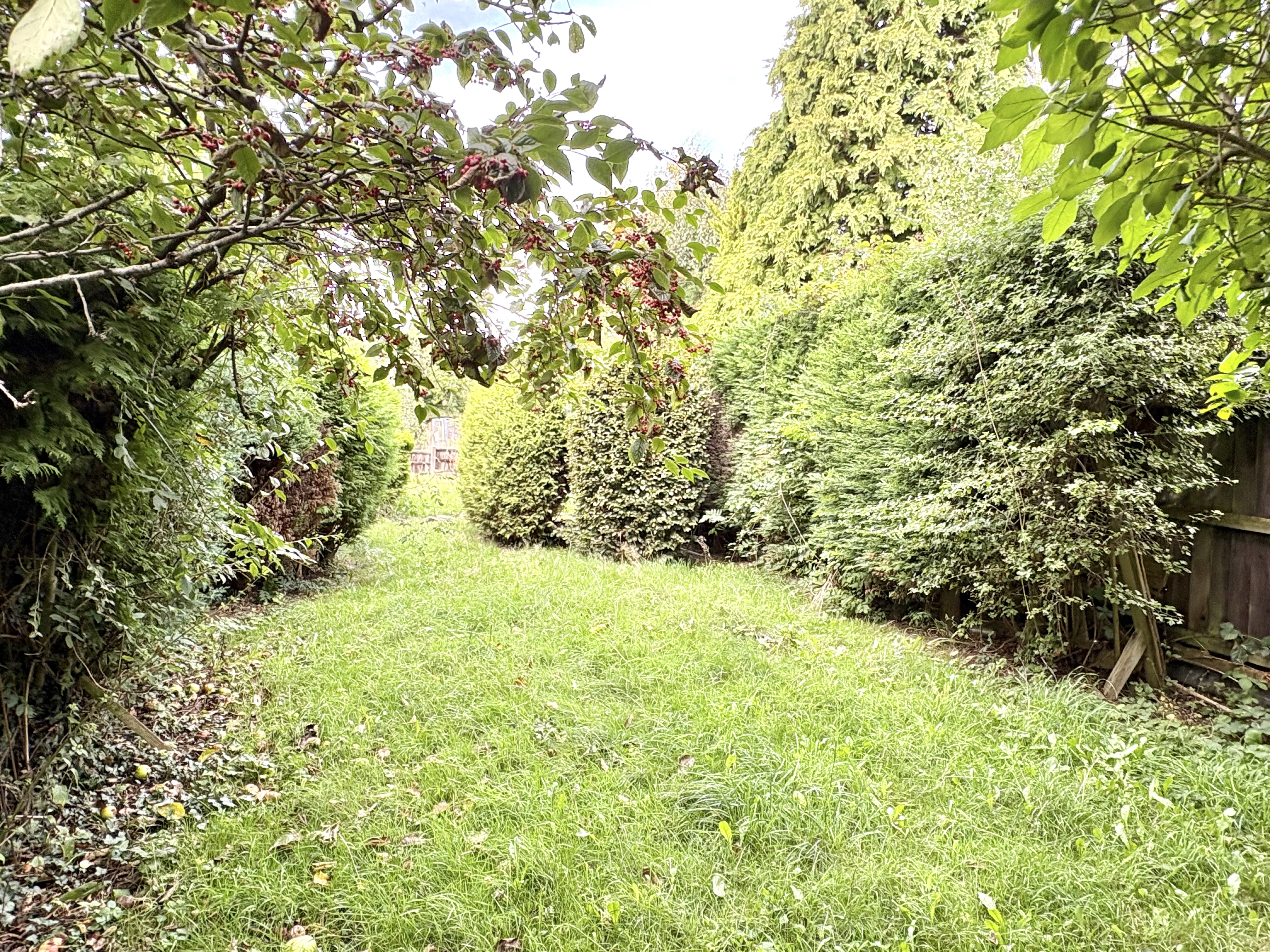 Property image #13