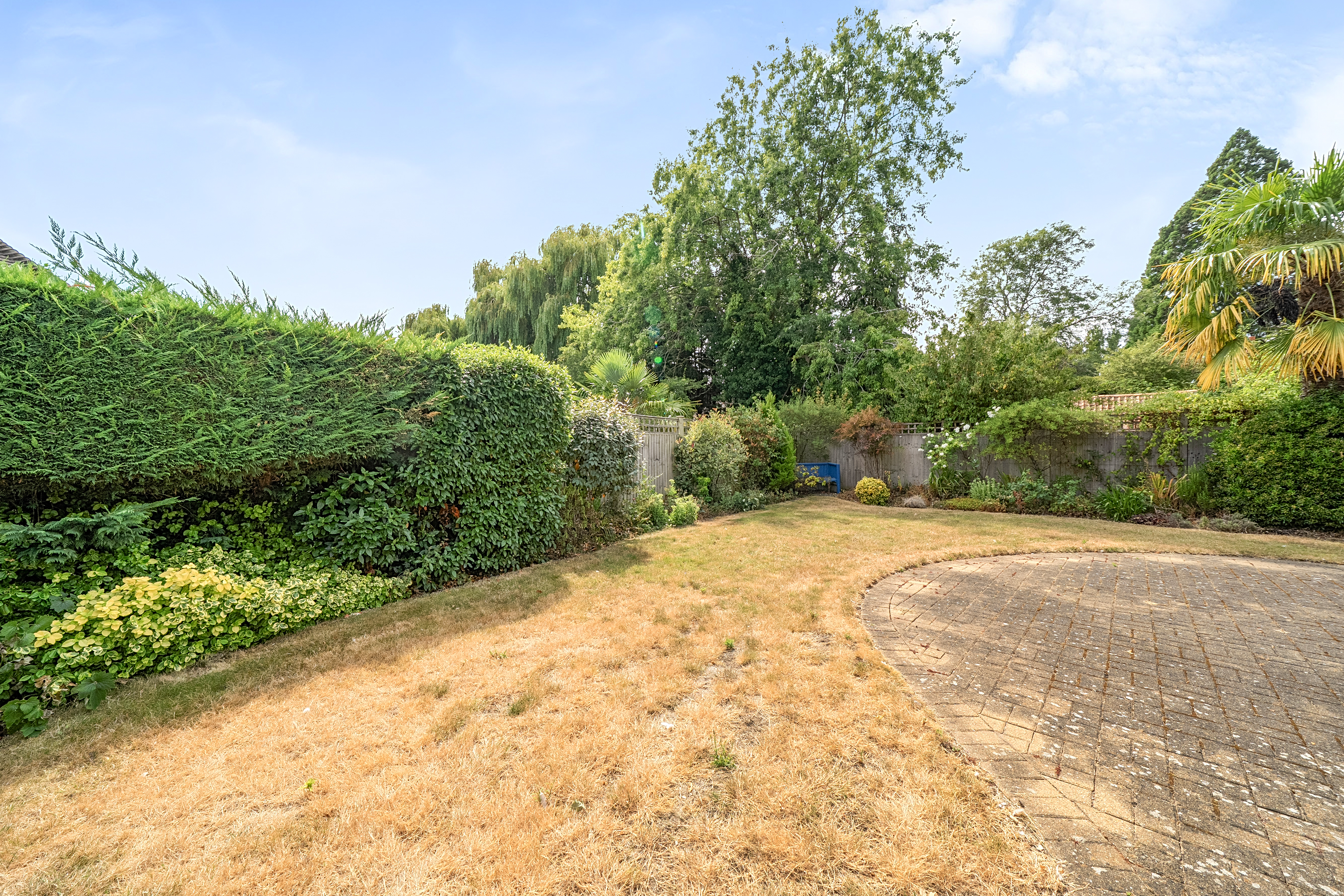 Property image #8