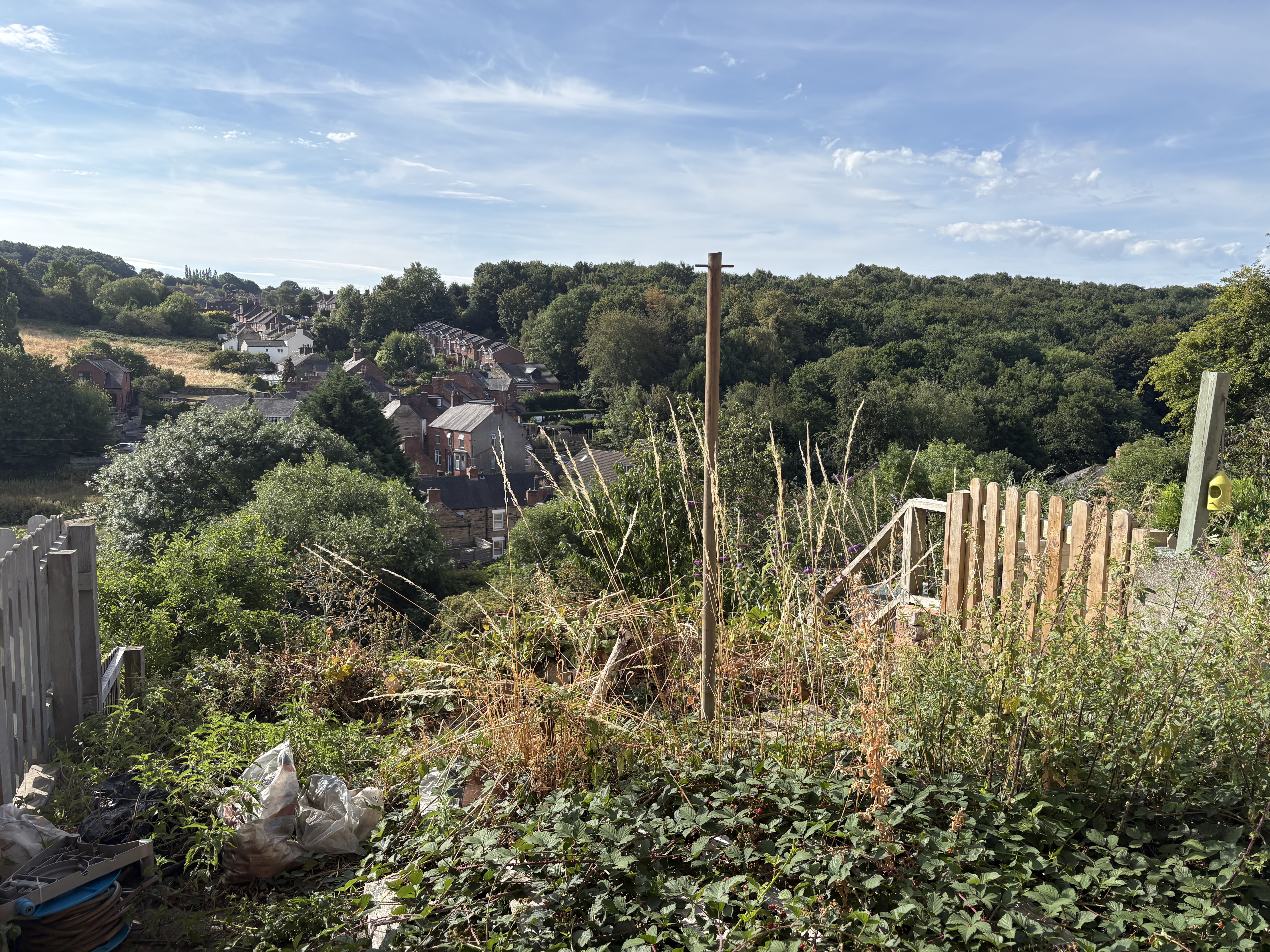 Property image #6