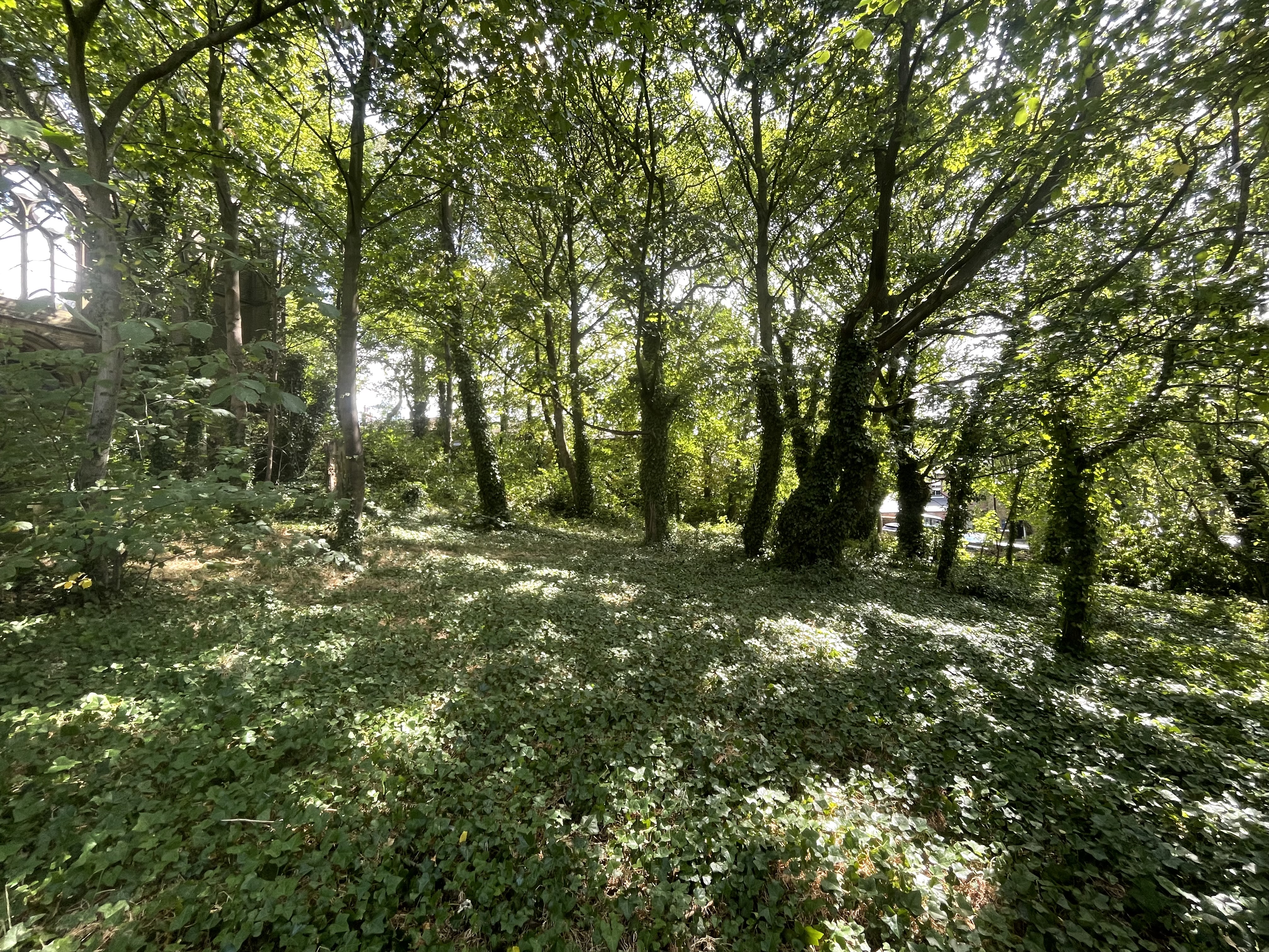 Property image #9
