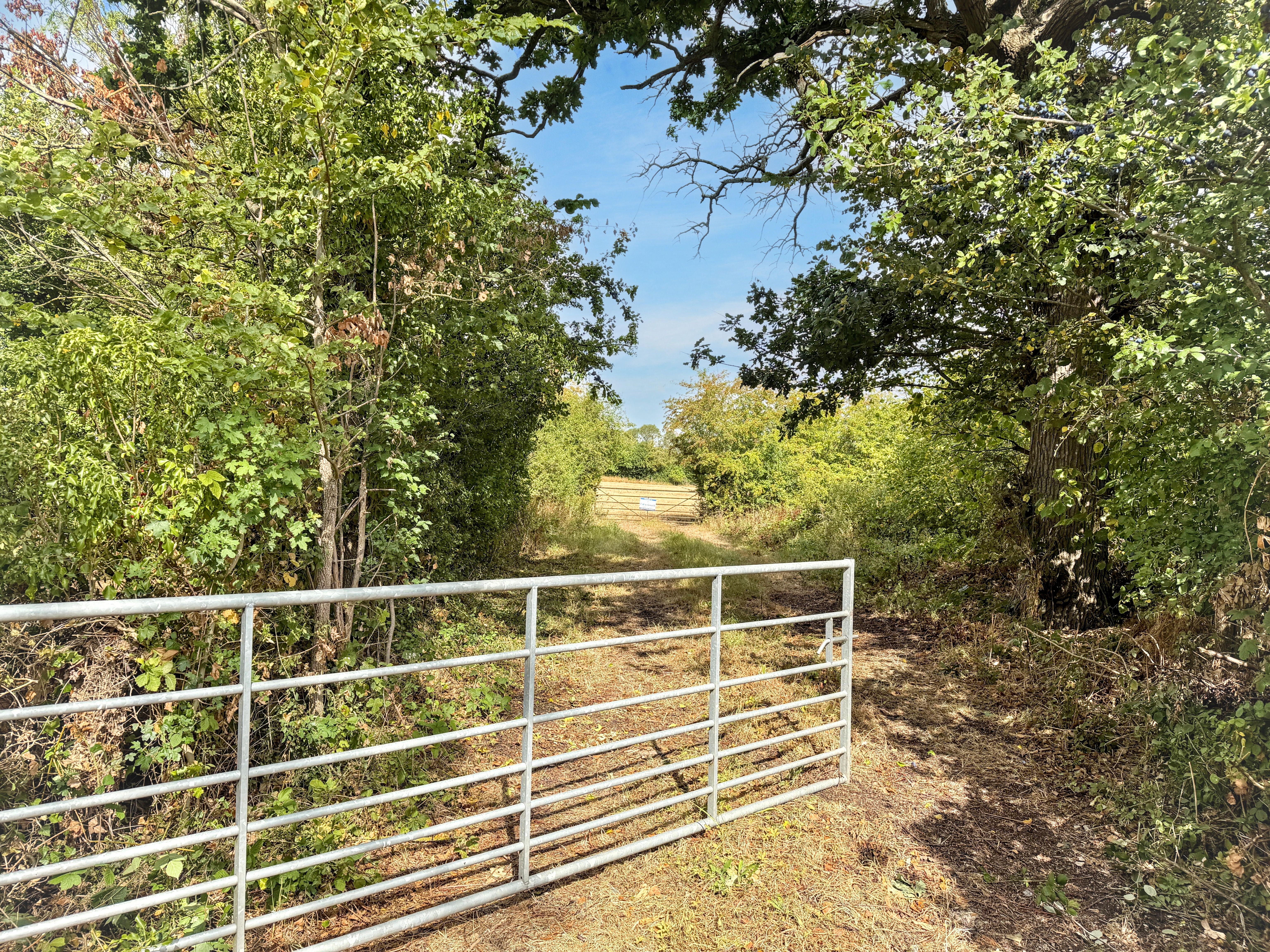 Property image #4
