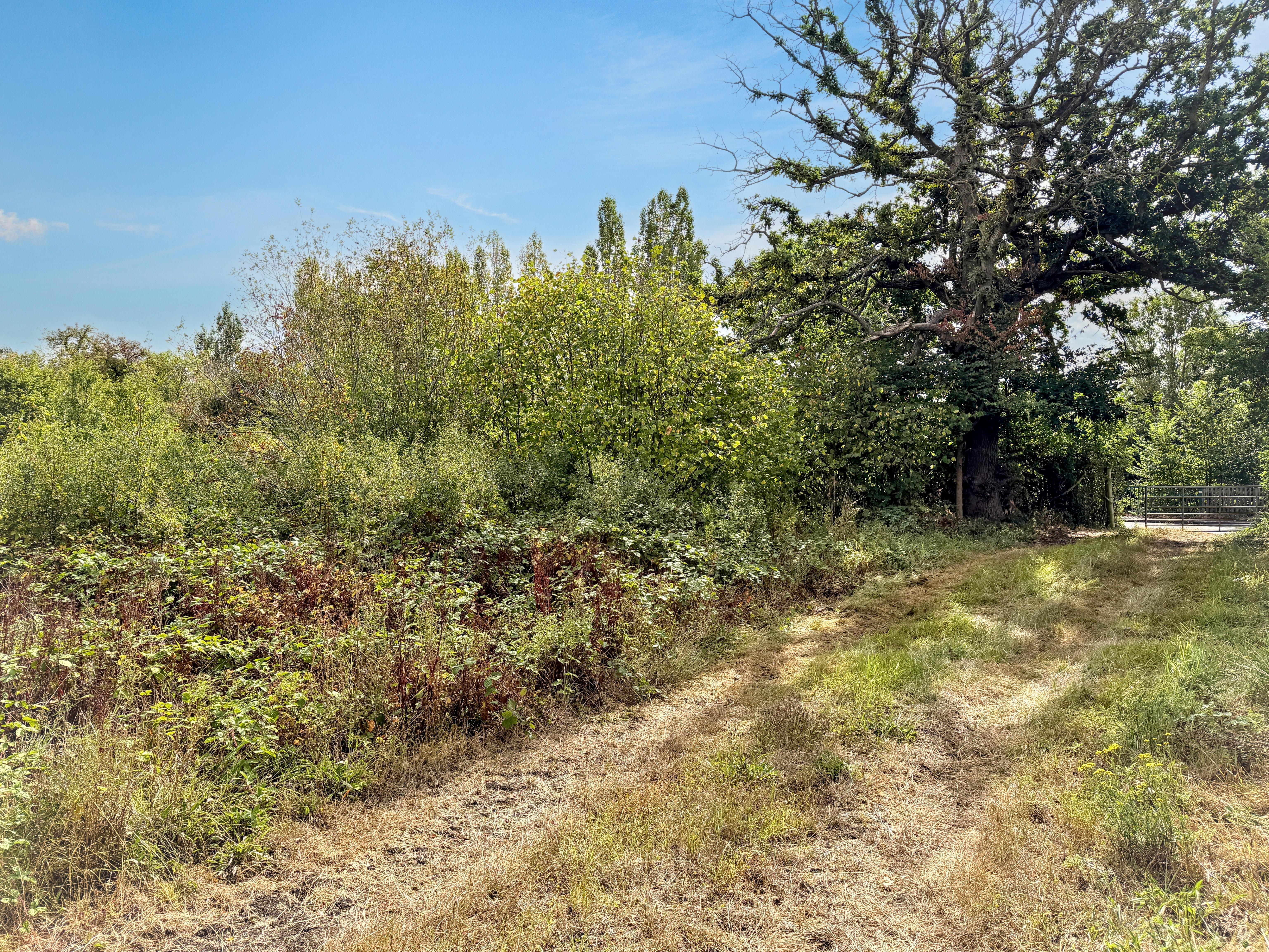 Property image #8