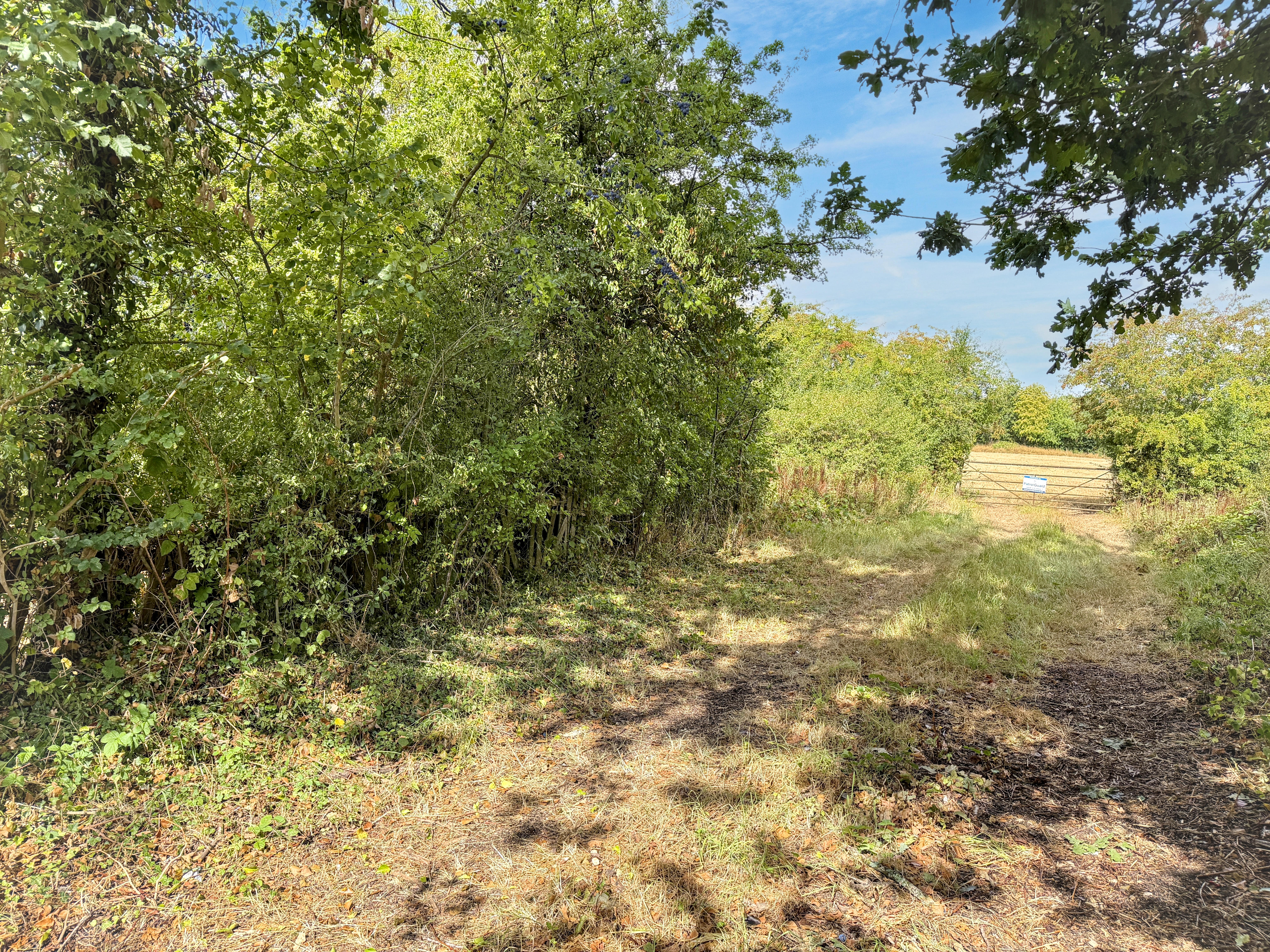 Property image #5