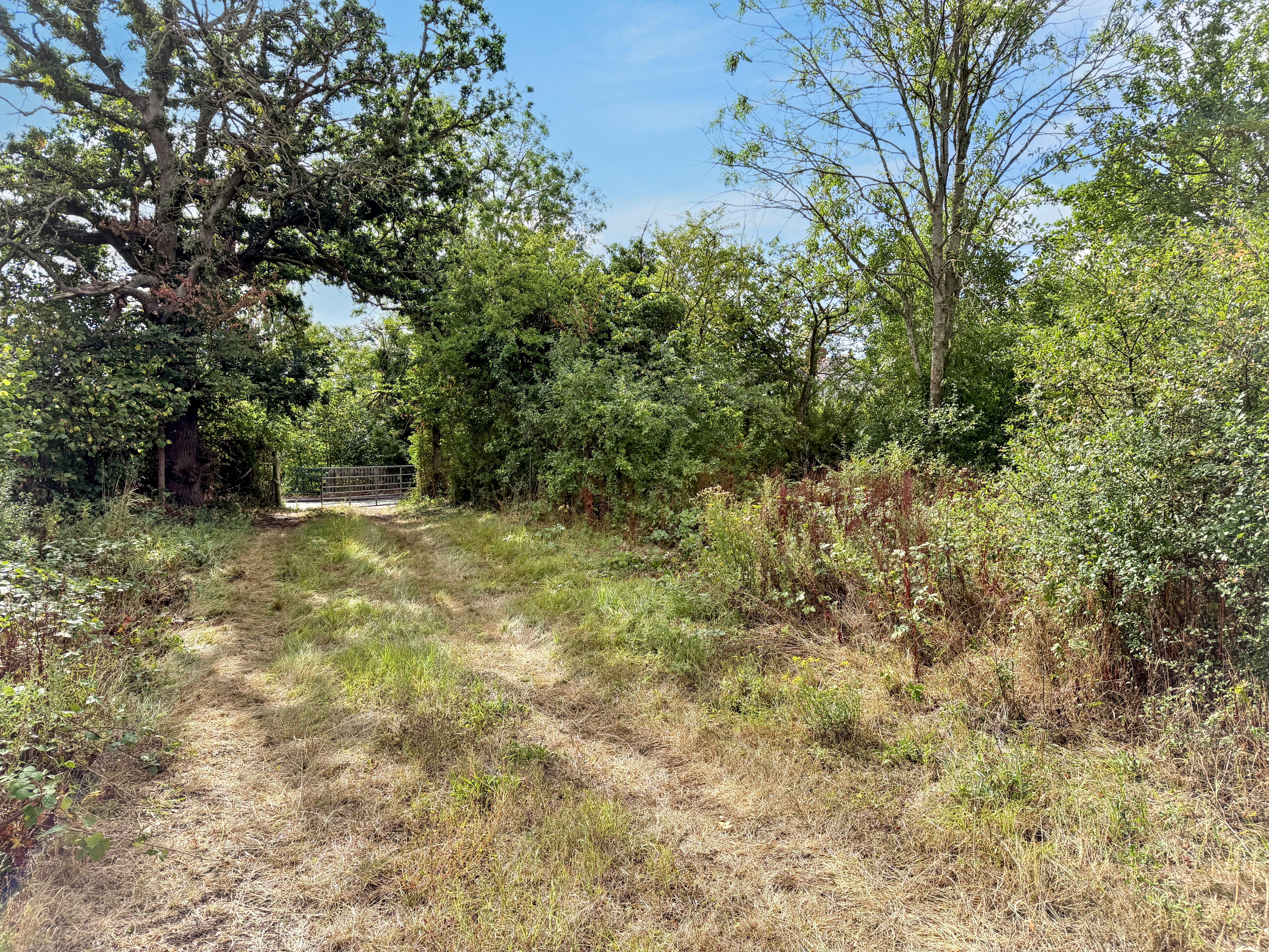 Property image #3